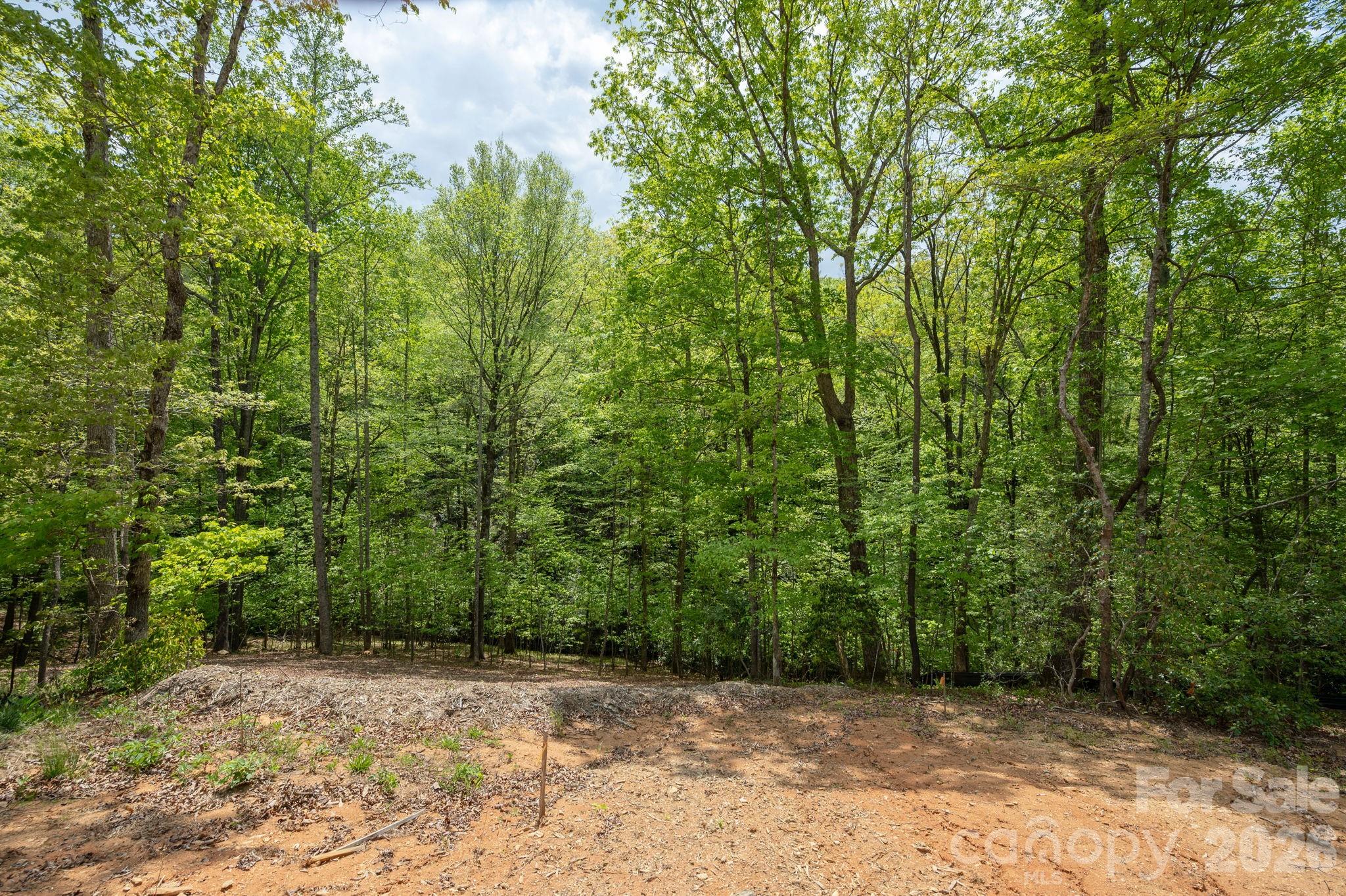 106 Skydance Trail 3 Property Photo 15
