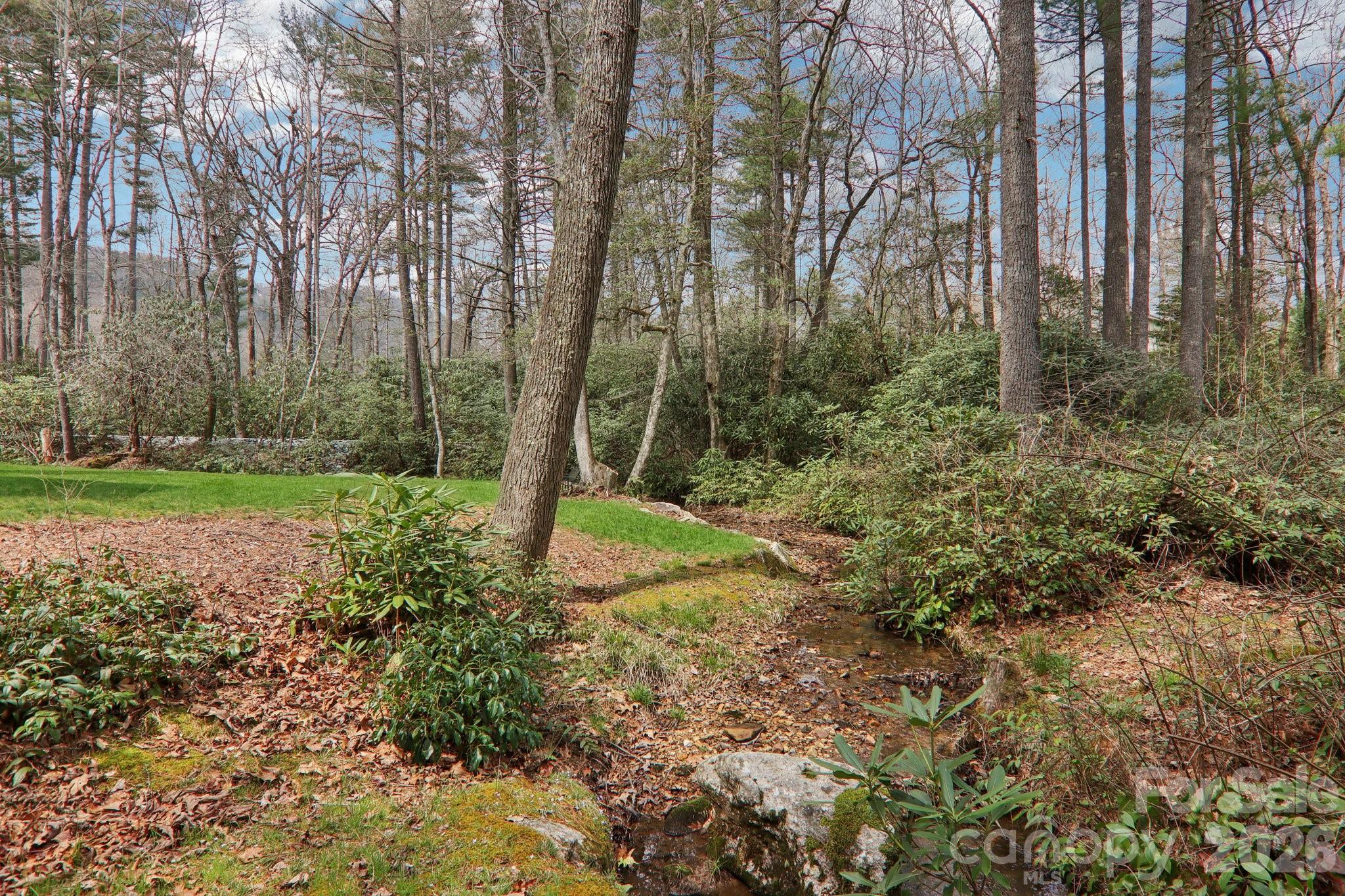 46 Mills Creek Drive Property Photo 43