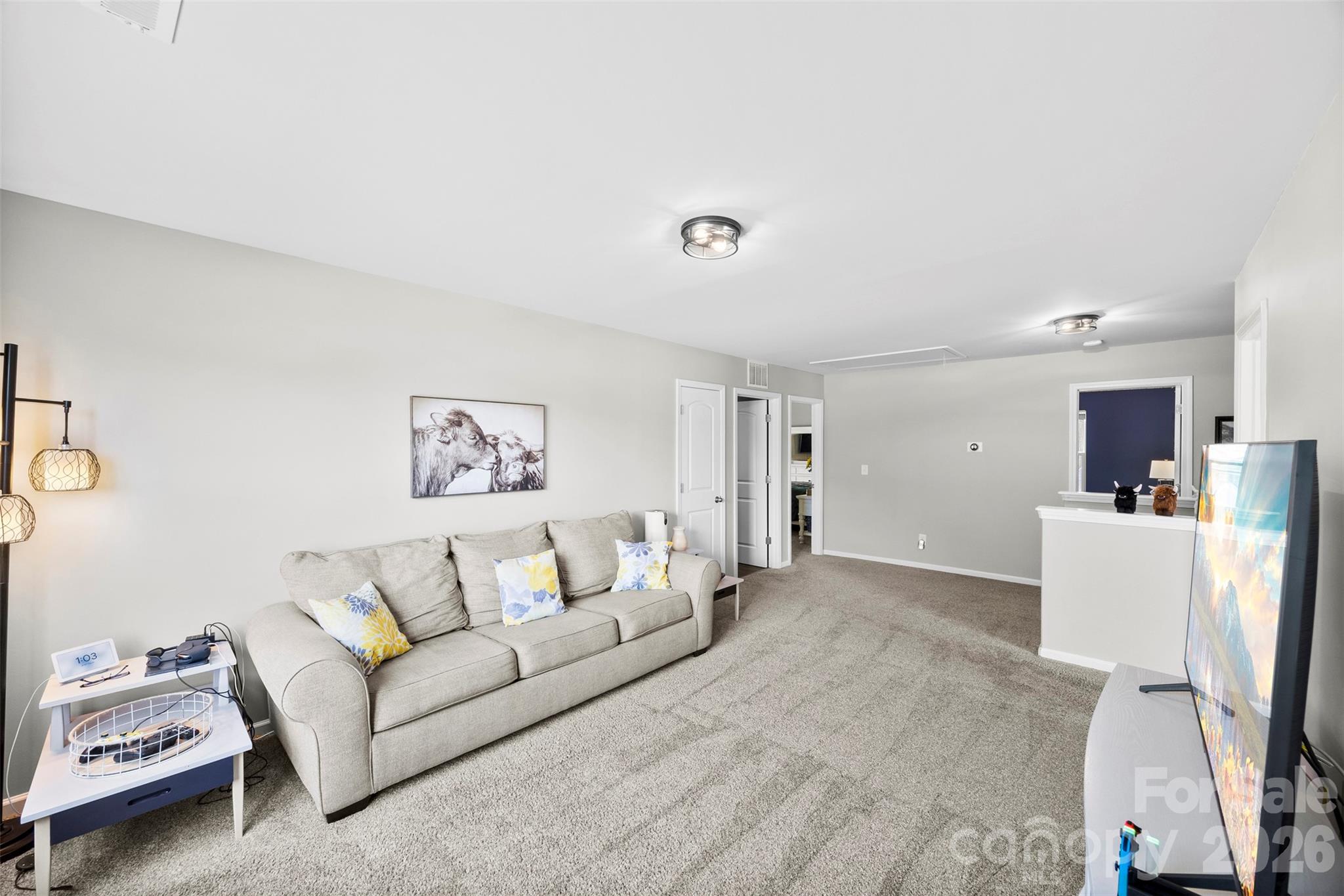 5045 Ashley Place Drive Property Photo 17