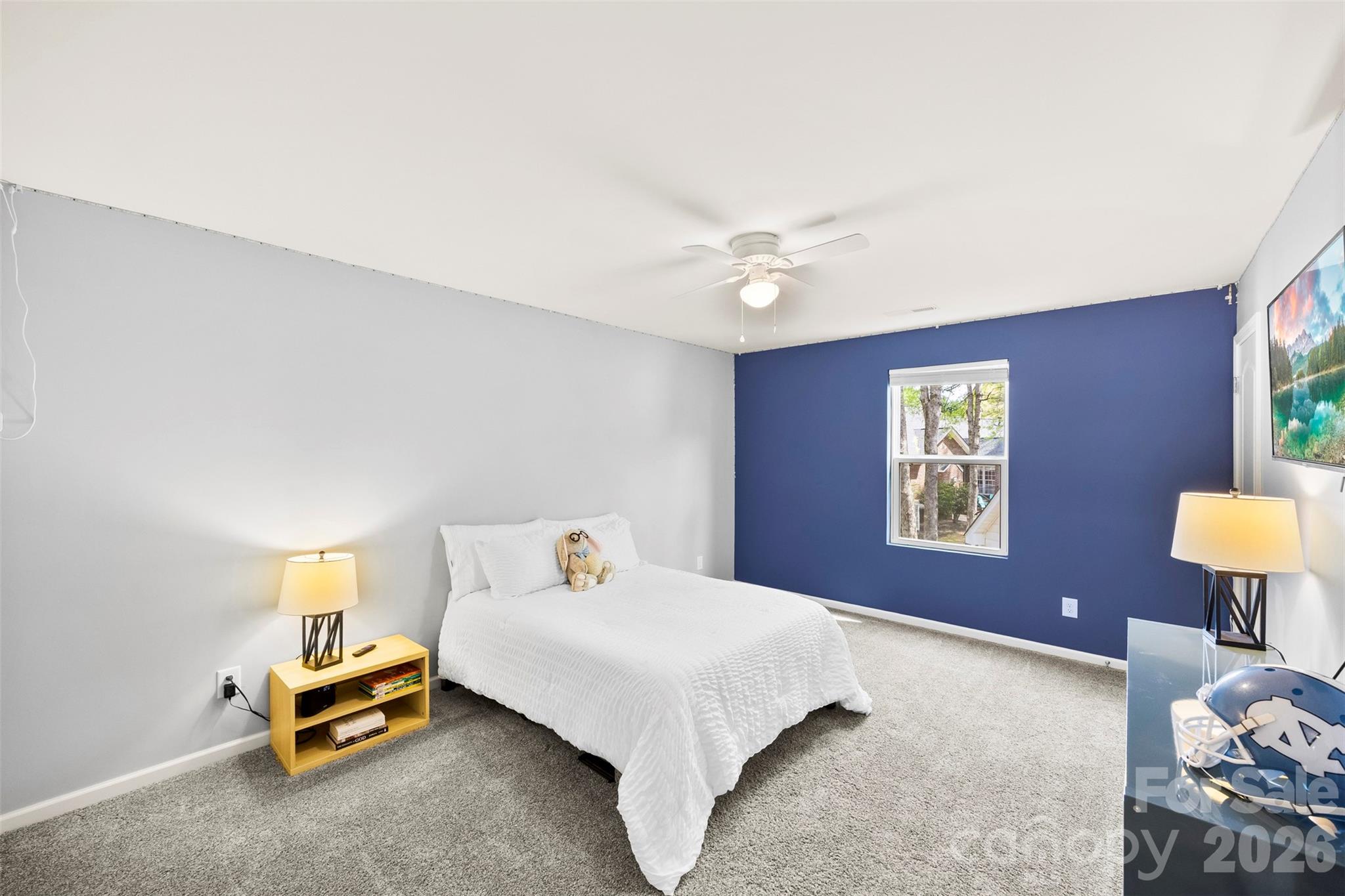 5045 Ashley Place Drive Property Photo 23