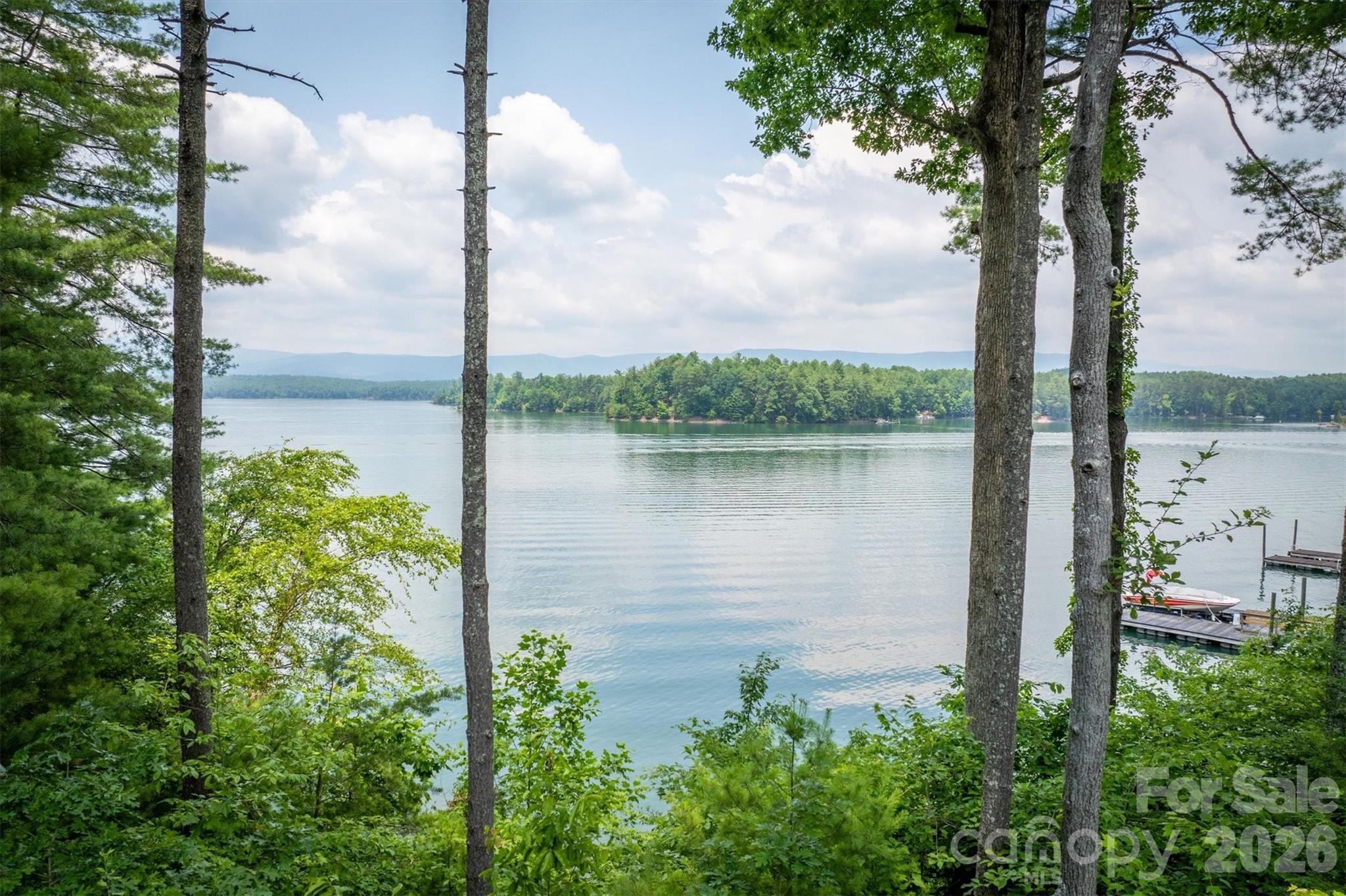5162 Beech Bluff Drive Property Photo 1