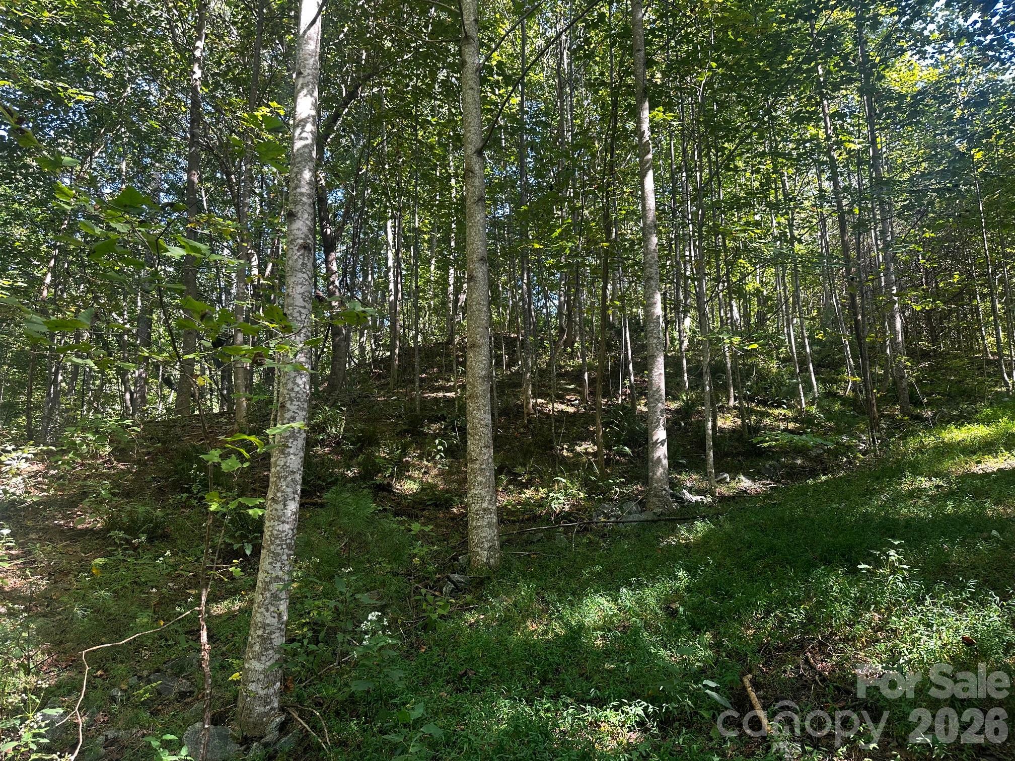 0 Clear Creek Trail Property Photo 1