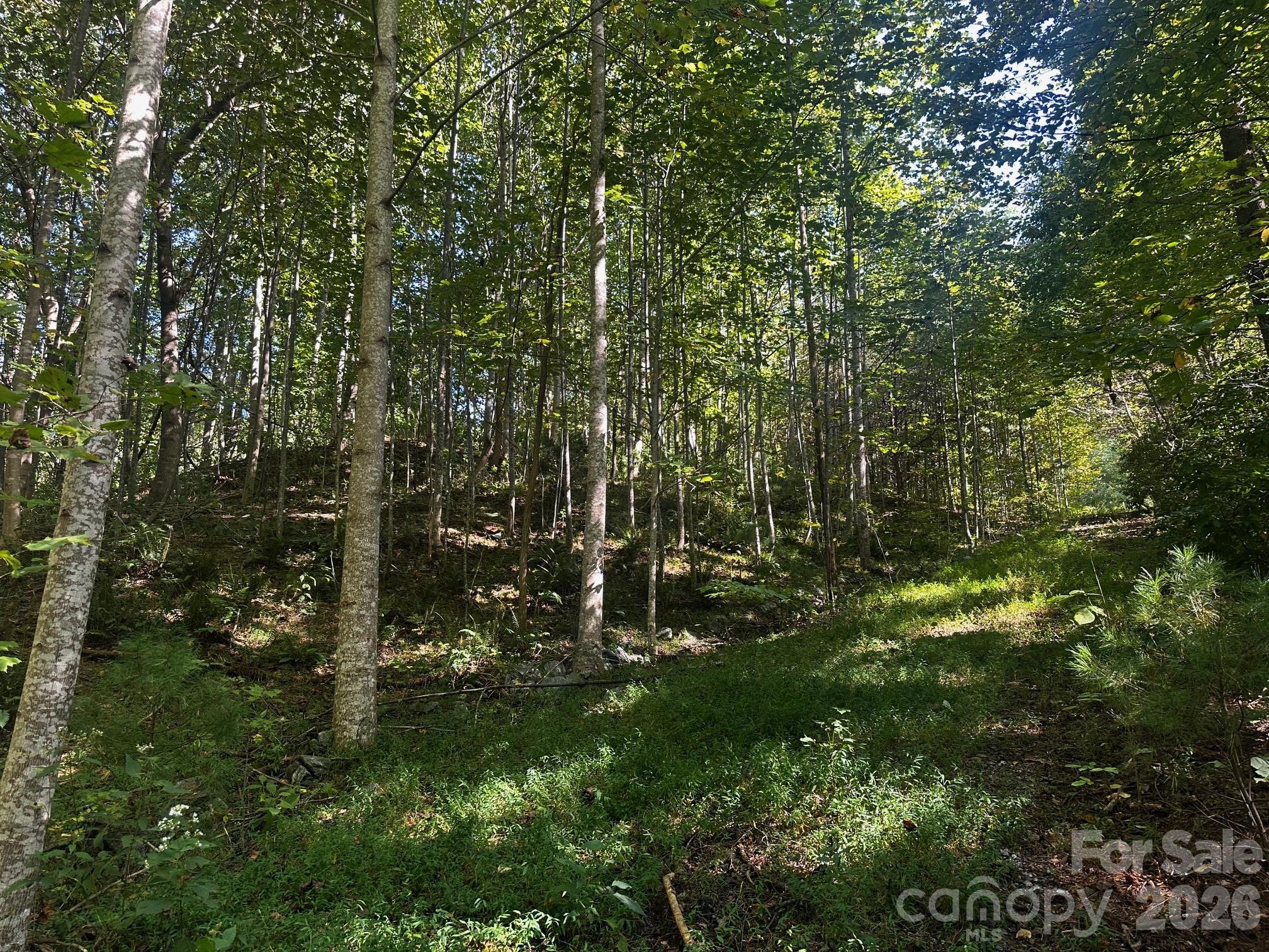 0 Clear Creek Trail Property Photo 2