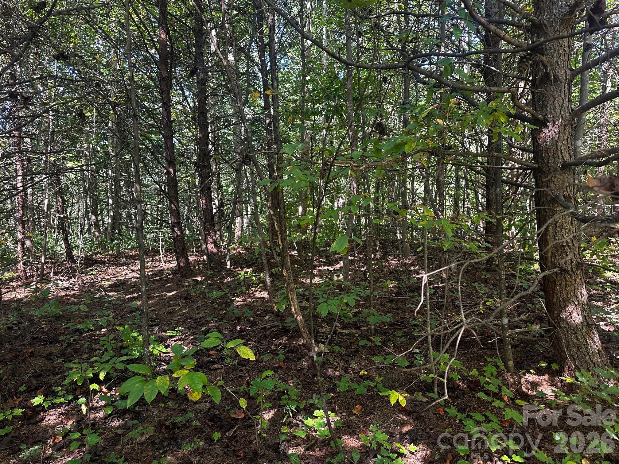 0 Clear Creek Trail Property Photo 3