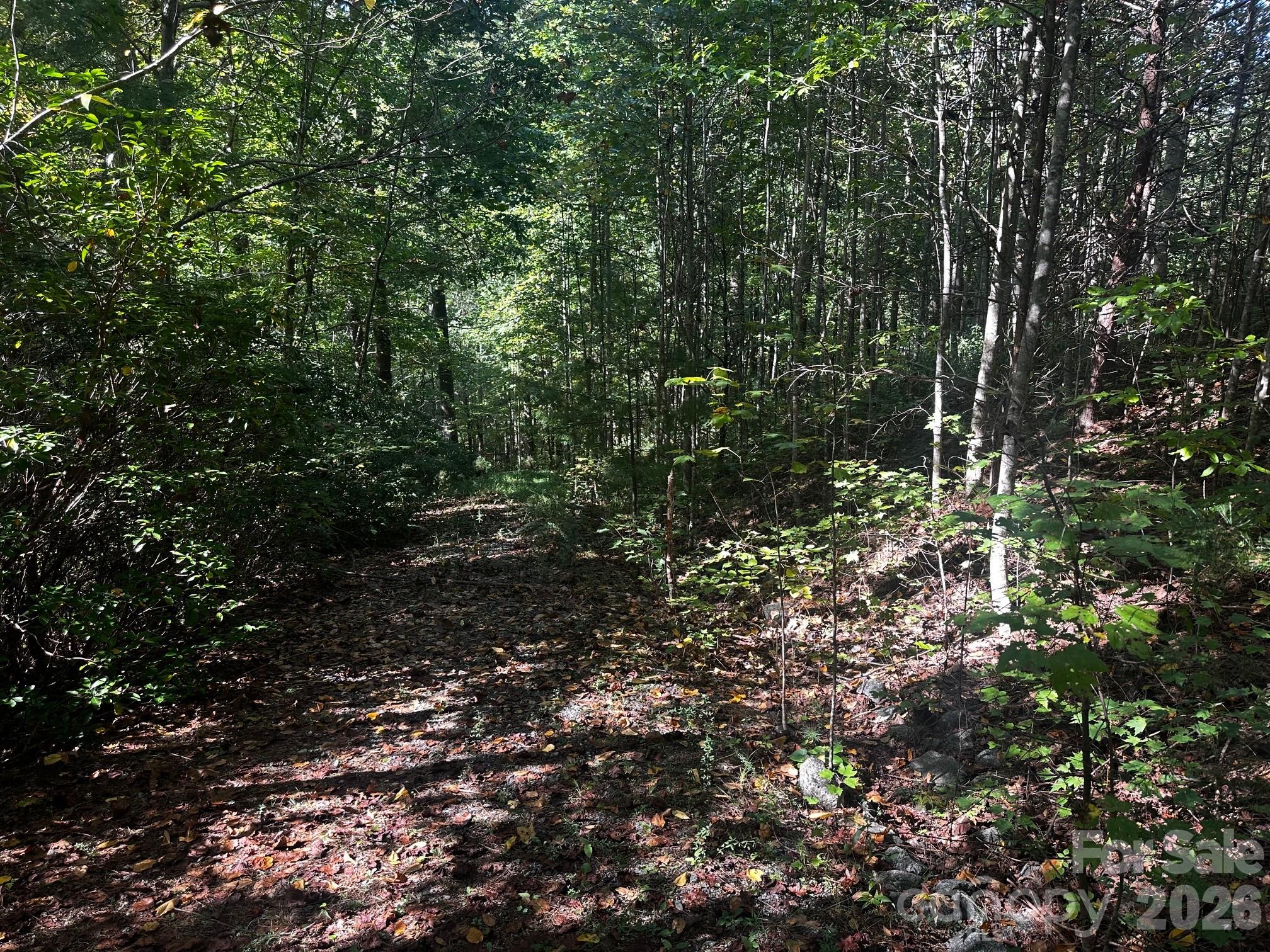 0 Clear Creek Trail Property Photo 4