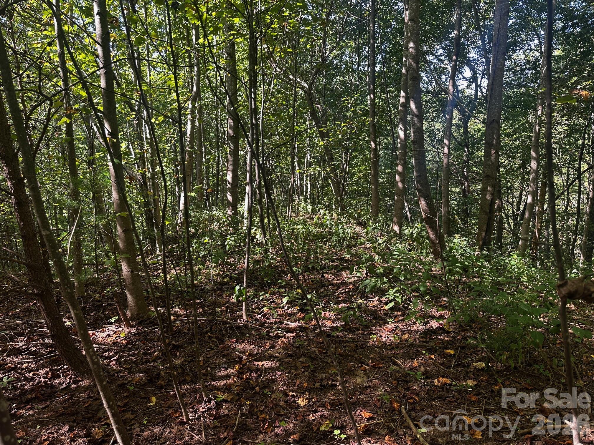 0 Clear Creek Trail Property Photo 5