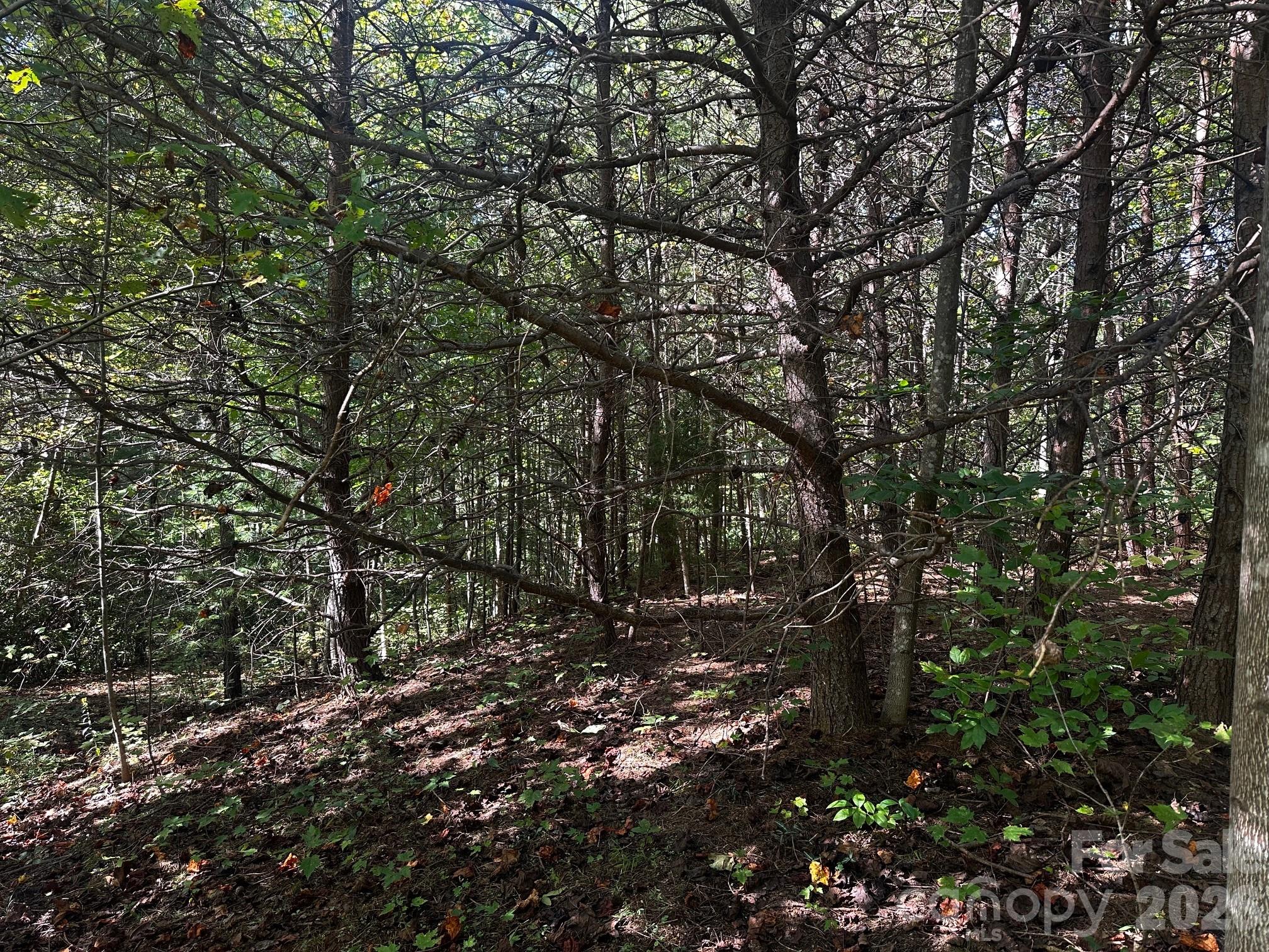 0 Clear Creek Trail Property Photo 6