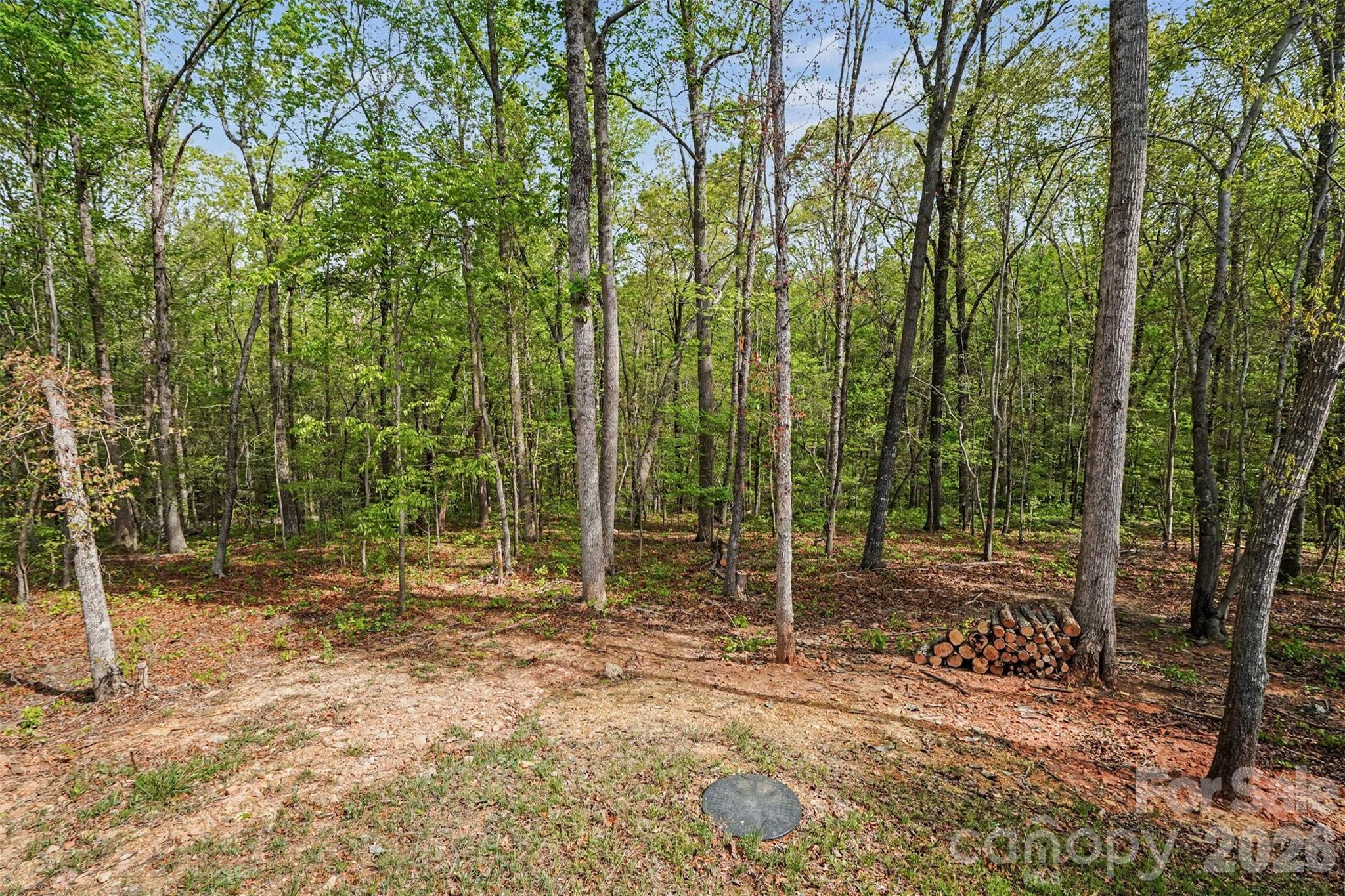 12141 Coyle Road 12 Property Photo 9