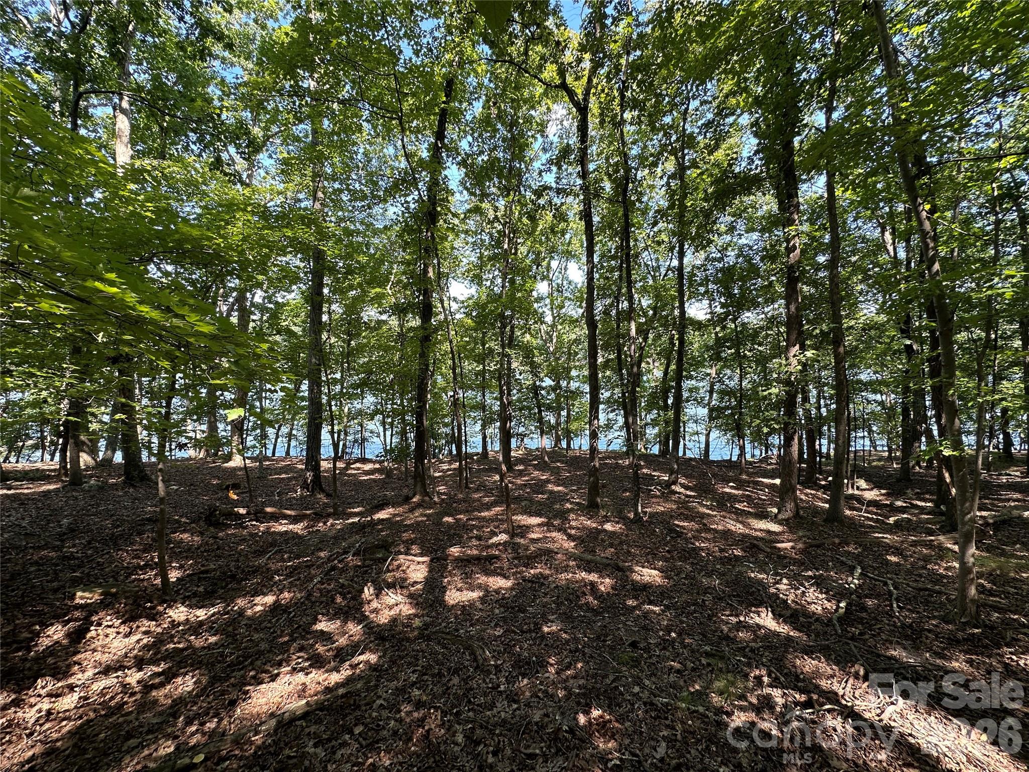 1768 Rocky Cove Lane Property Photo 6