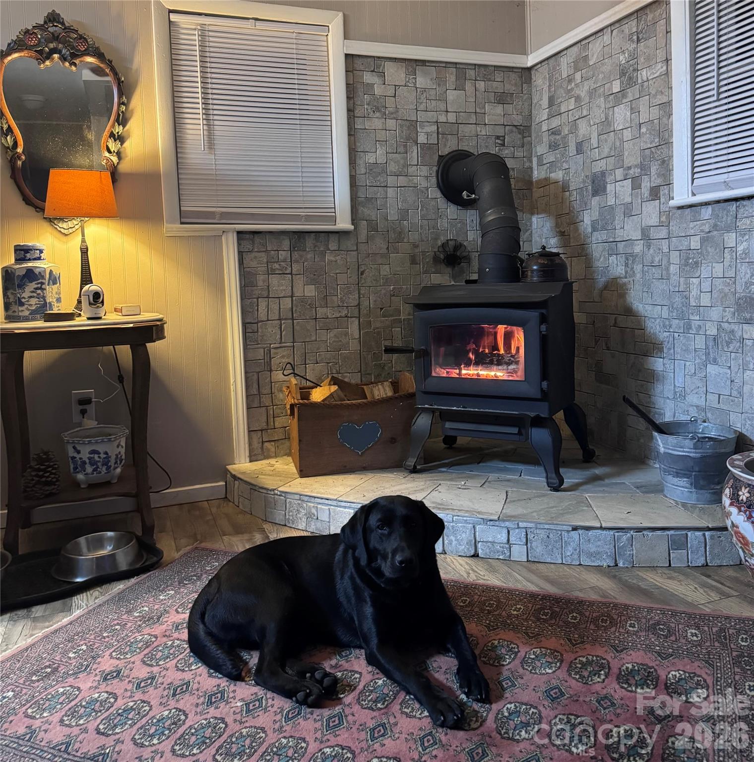 450 W Piney Mountain Road Property Photo 10