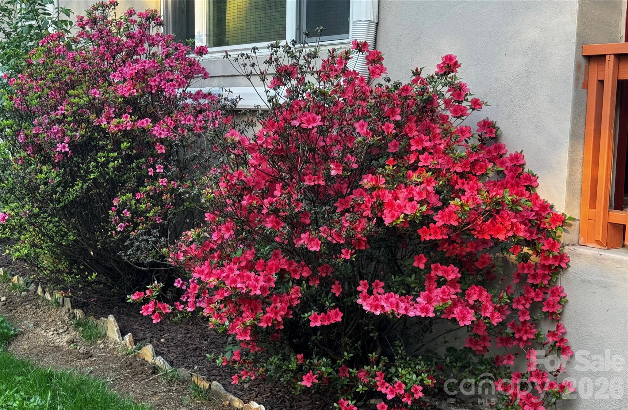 450 W Piney Mountain Road Property Photo 13