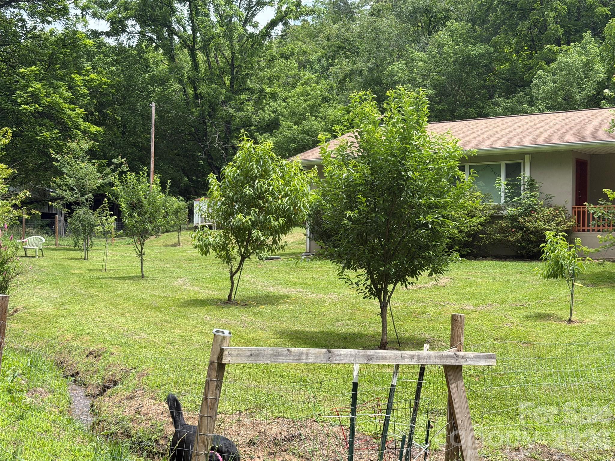 450 W Piney Mountain Road Property Photo 18