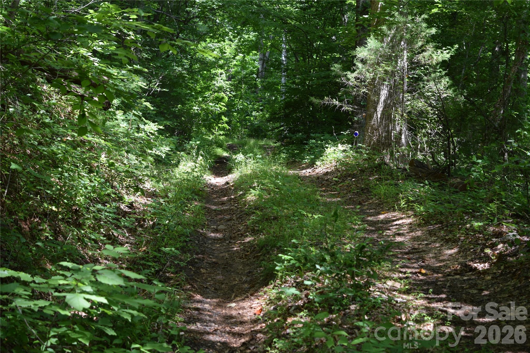Tbd Bel Air Road 18-19, 21, 23,27-28,31-33 Property Photo 22