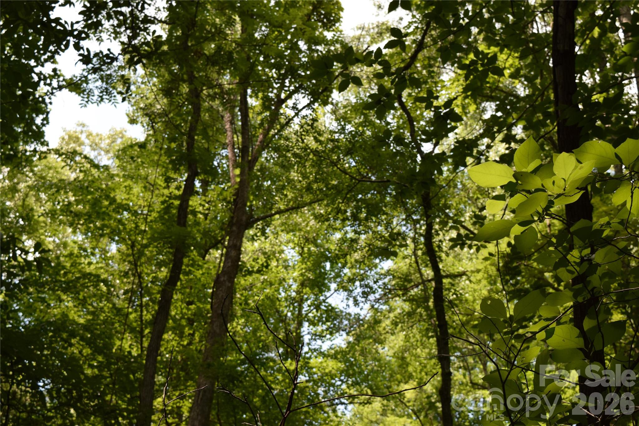 Tbd Bel Air Road 18-19, 21, 23,27-28,31-33 Property Photo 24