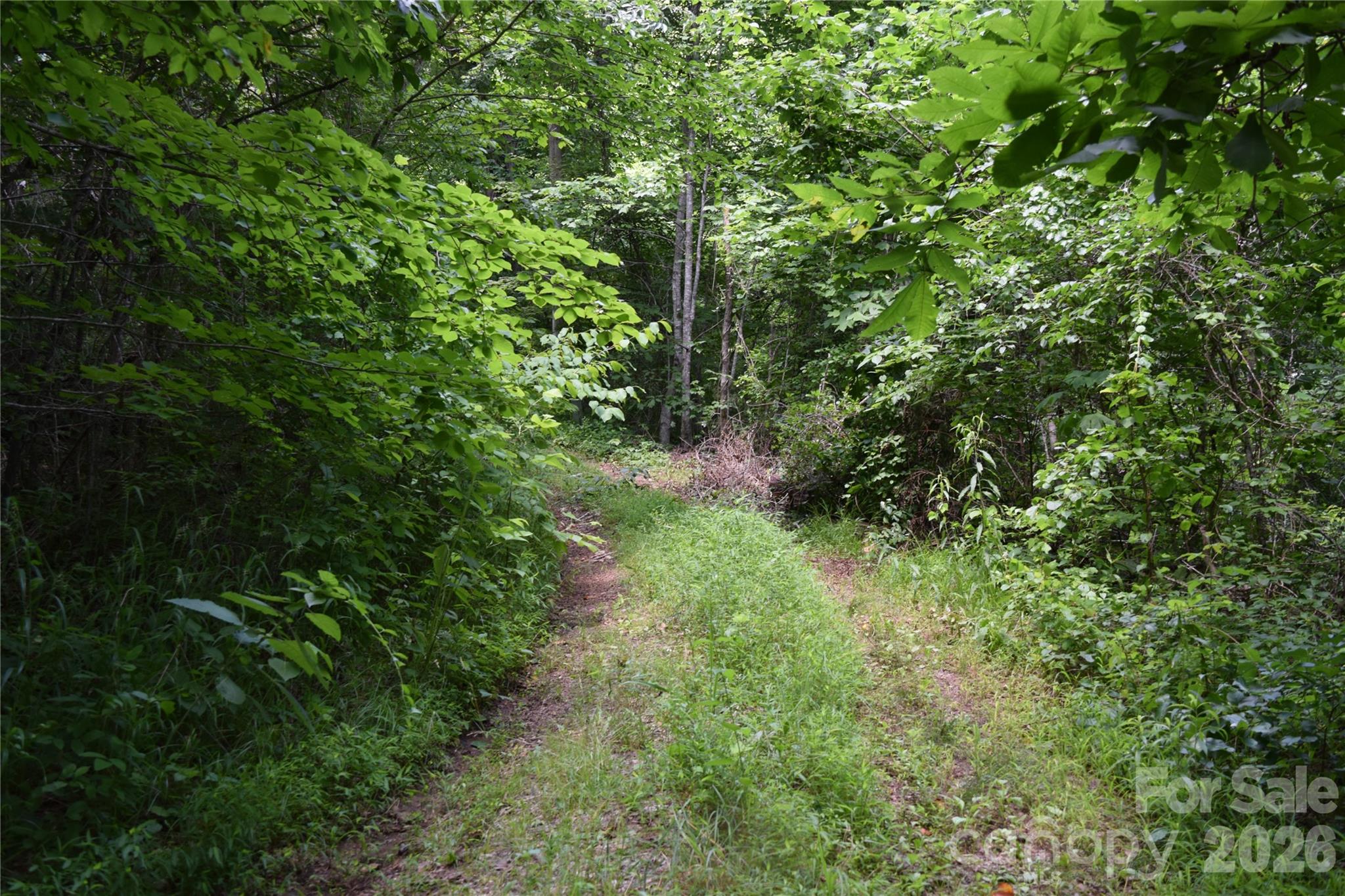 Tbd Bel Air Road 18-19, 21, 23,27-28,31-33 Property Photo 26