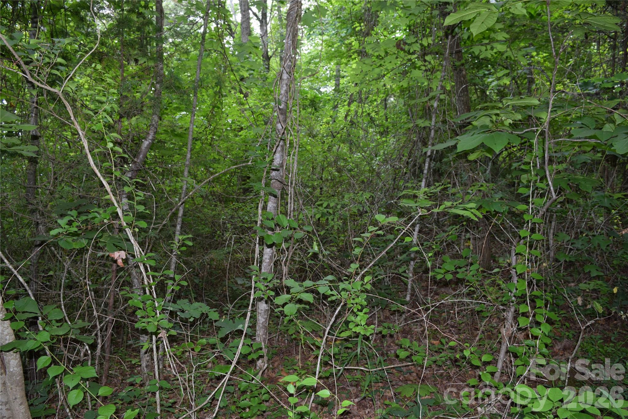 Tbd Bel Air Road 18-19, 21, 23,27-28,31-33 Property Photo 28