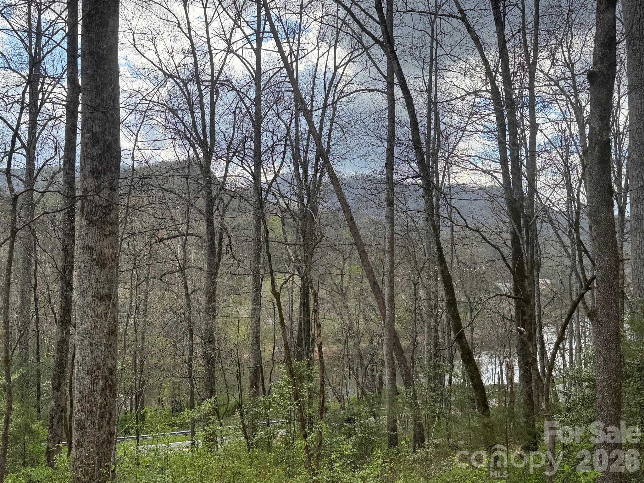 315 N River Road Property Photo 9