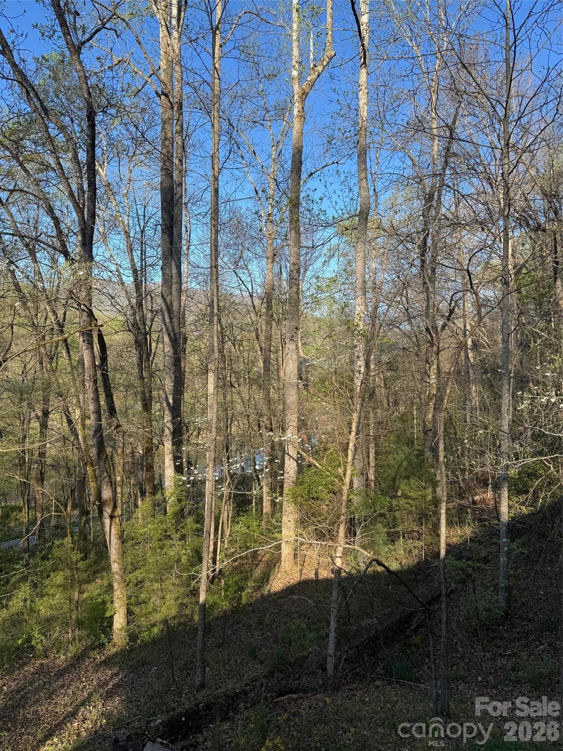 315 N River Road Property Photo 40