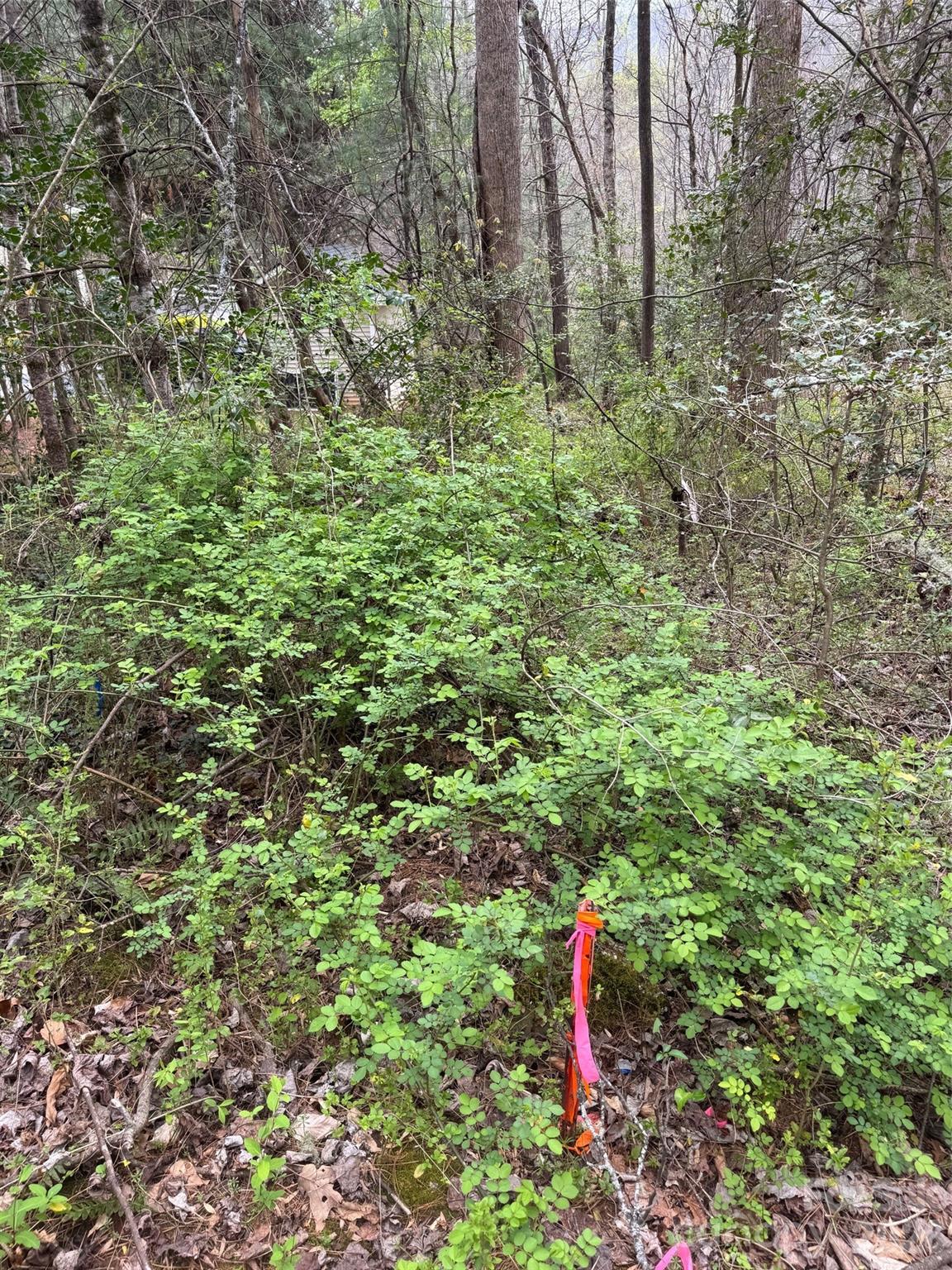 315 N River Road Property Photo 43