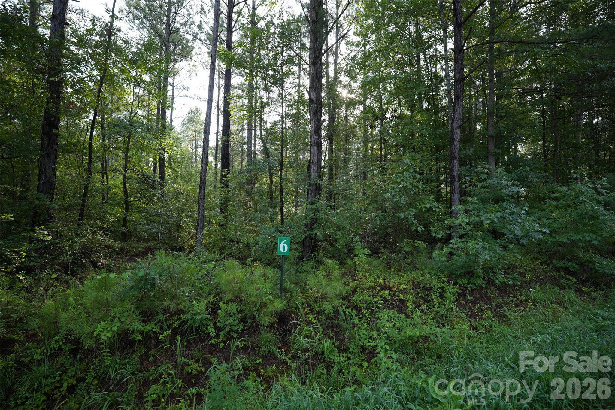 00 Bobby Faucette Road 6 Property Photo 1