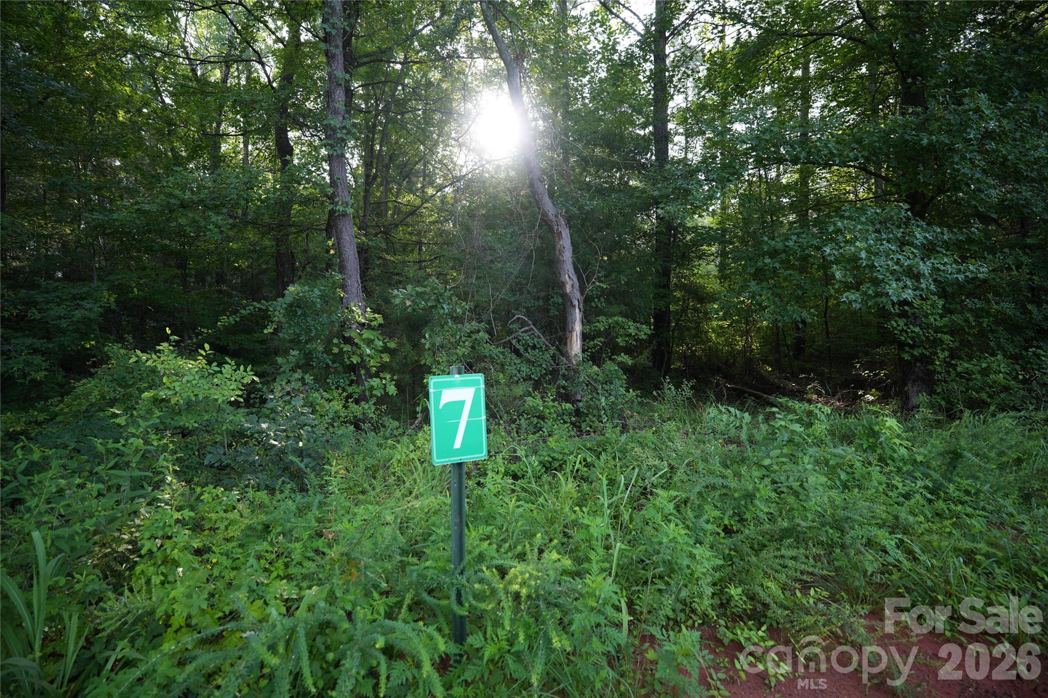 00 Bobby Faucette Road 7 Property Photo 1