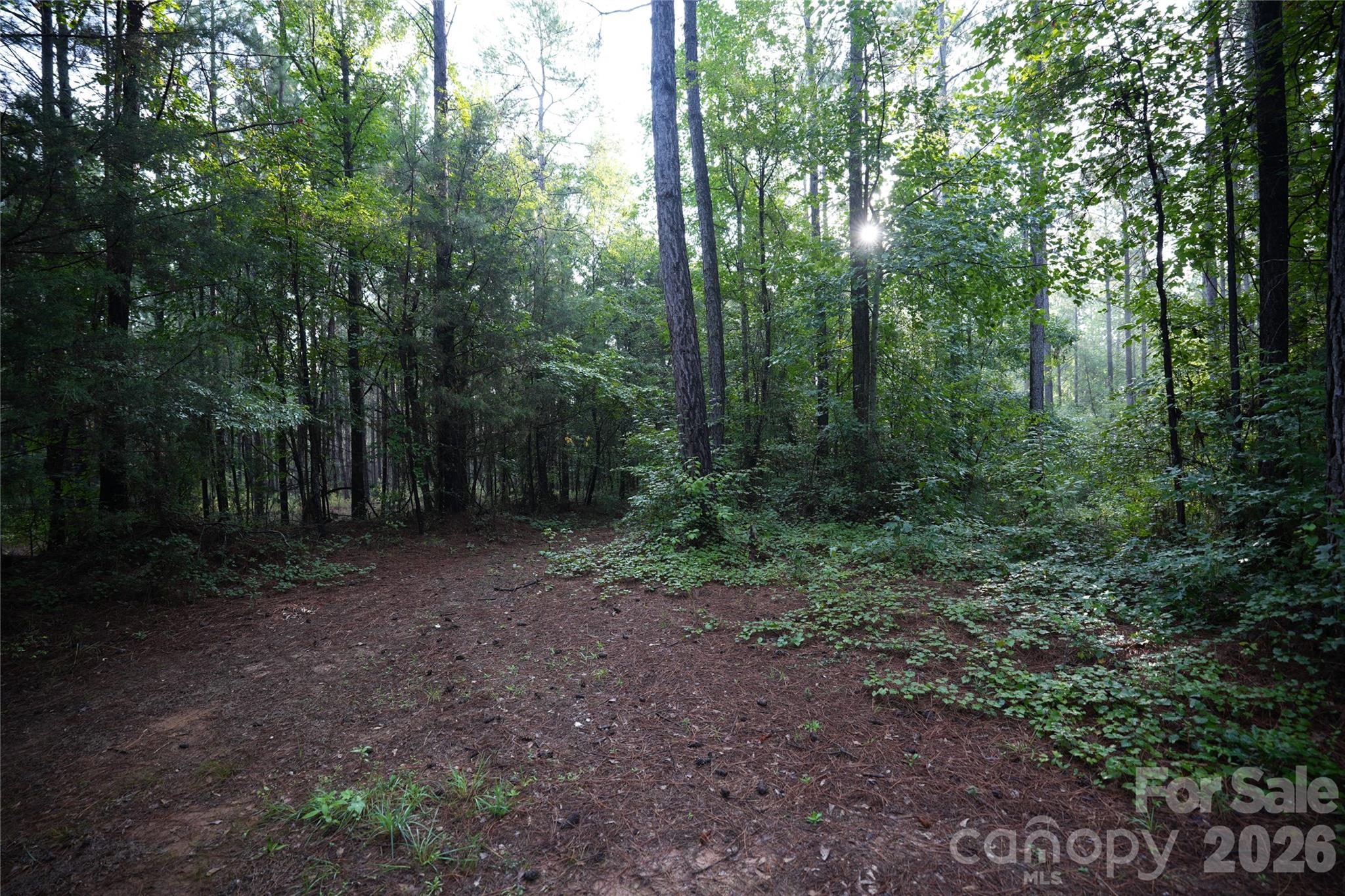 00 Bobby Faucette Road 7 Property Photo 4