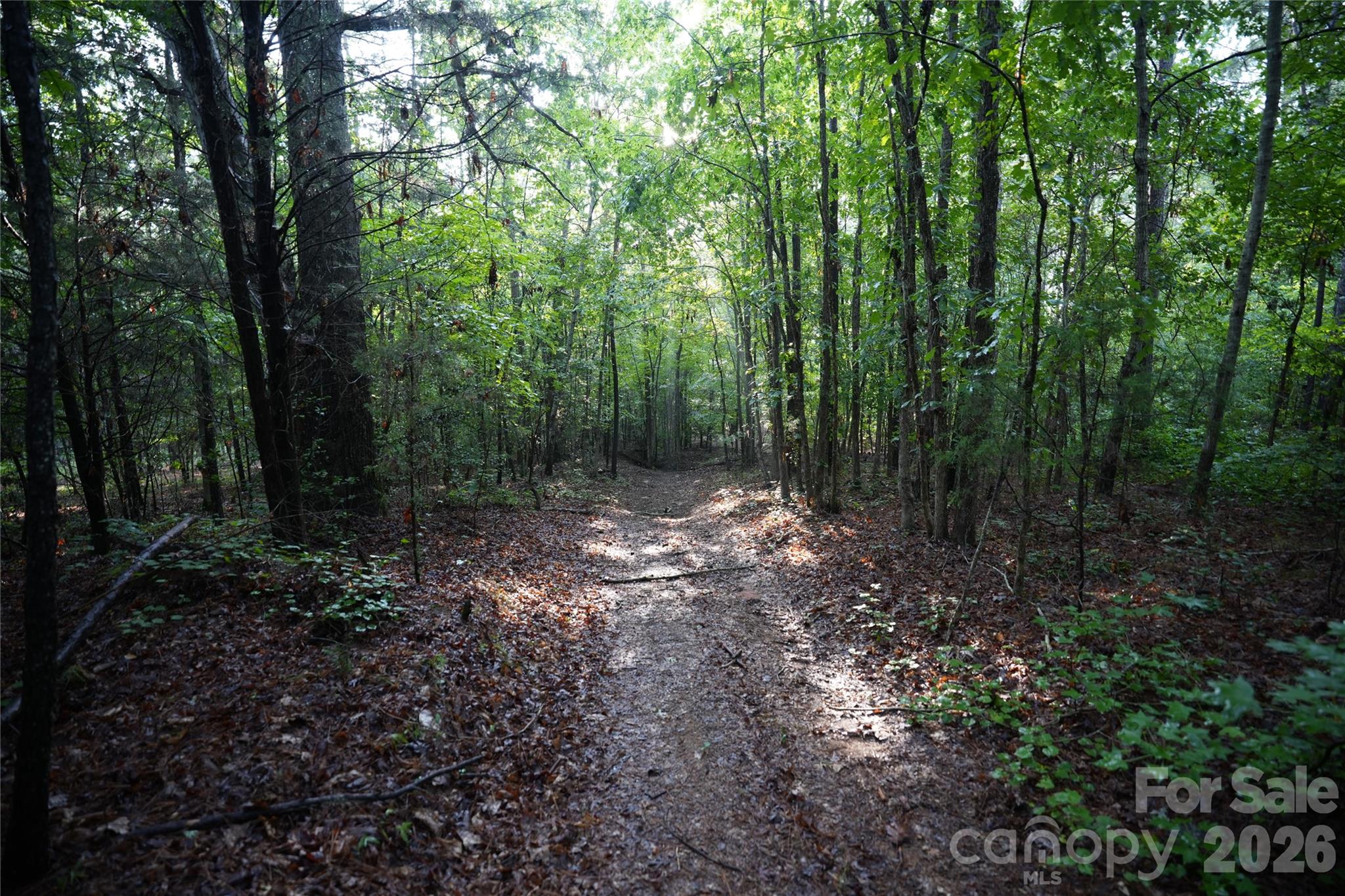 00 Bobby Faucette Road 7 Property Photo 5