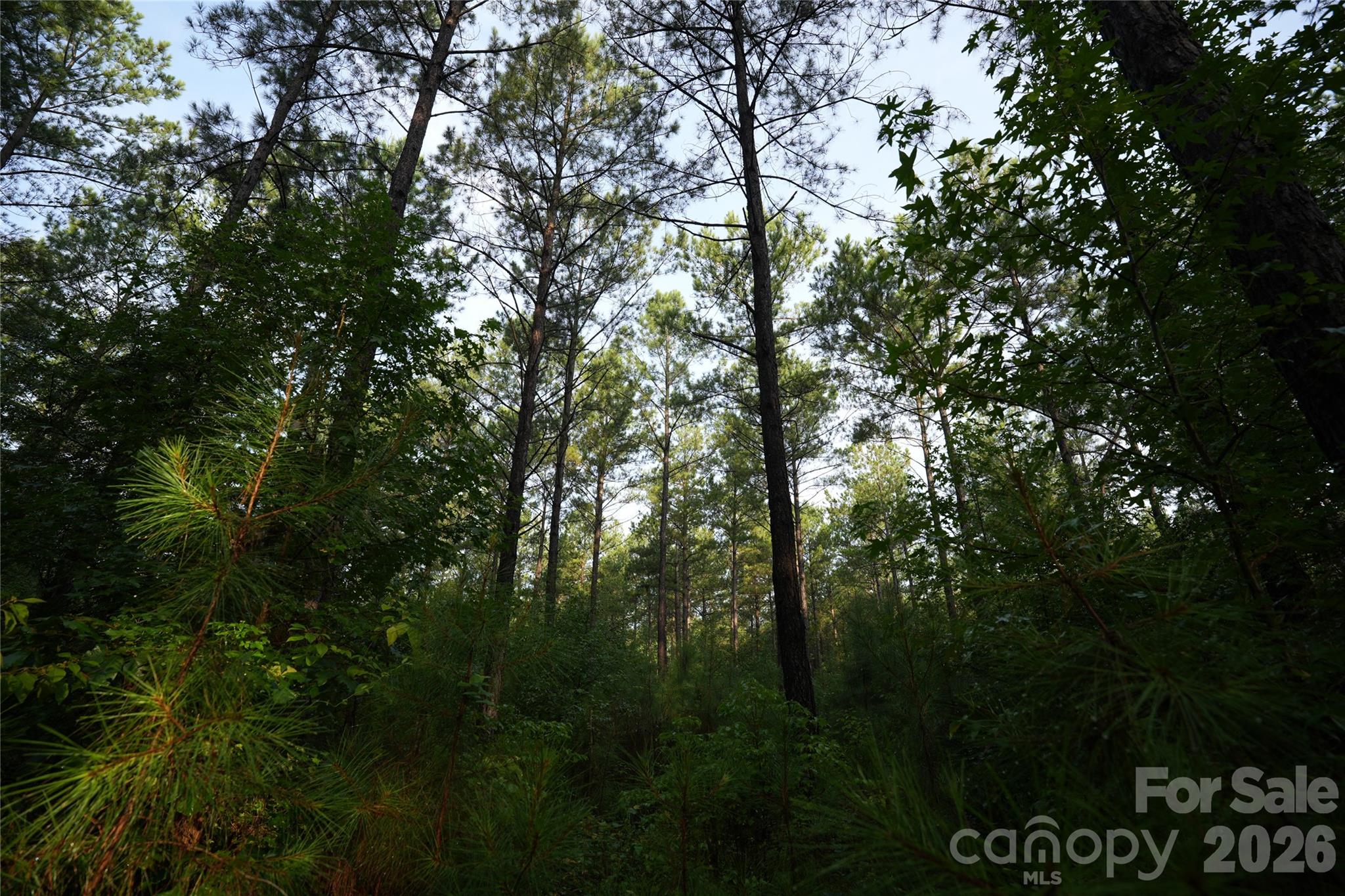 00 Bobby Faucette Road 7 Property Photo 6