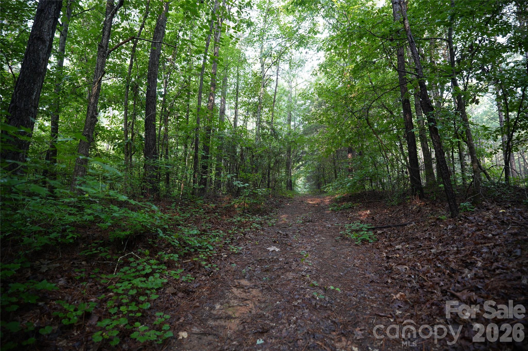 00 Bobby Faucette Road 7 Property Photo 7