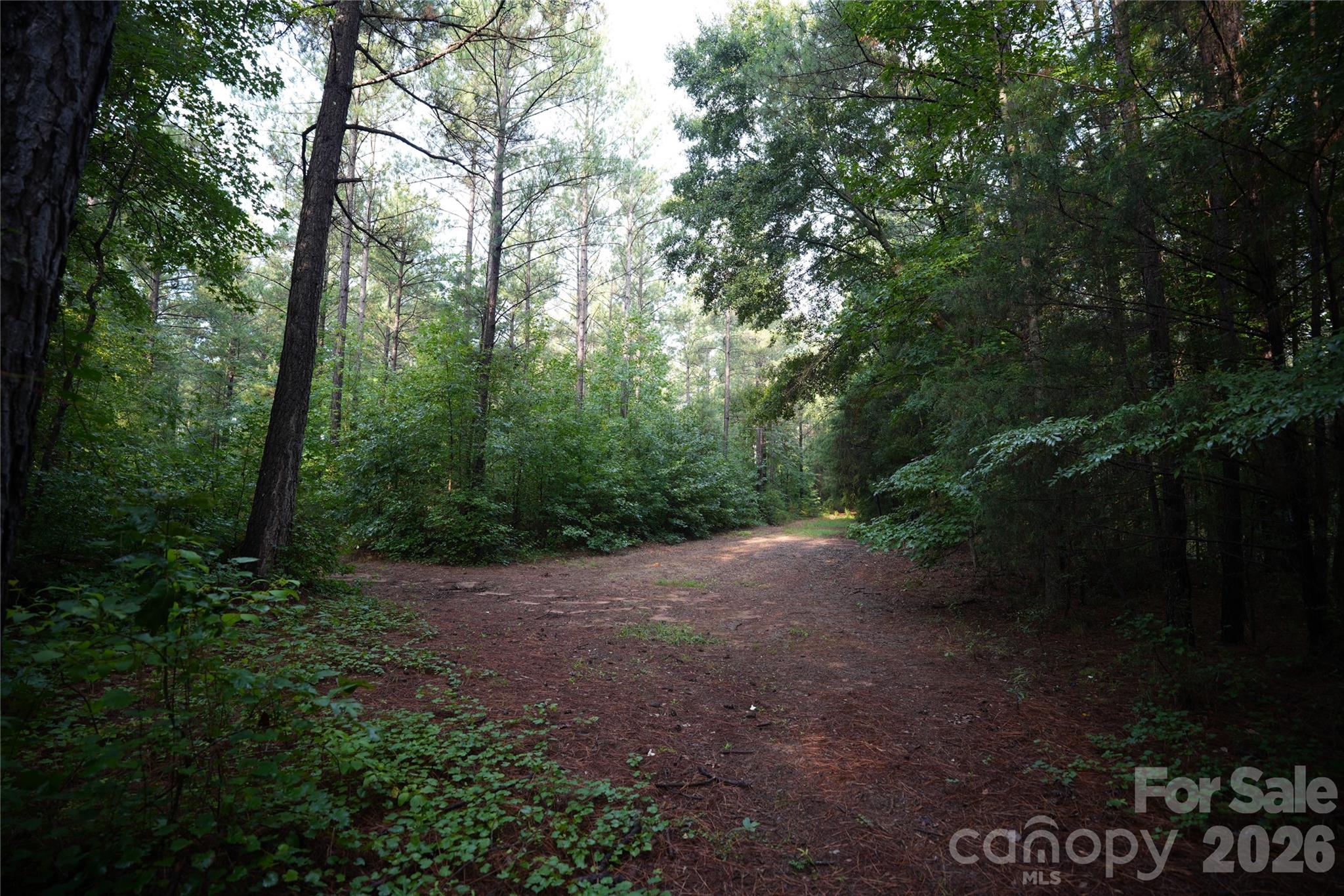 00 Bobby Faucette Road 7 Property Photo 8