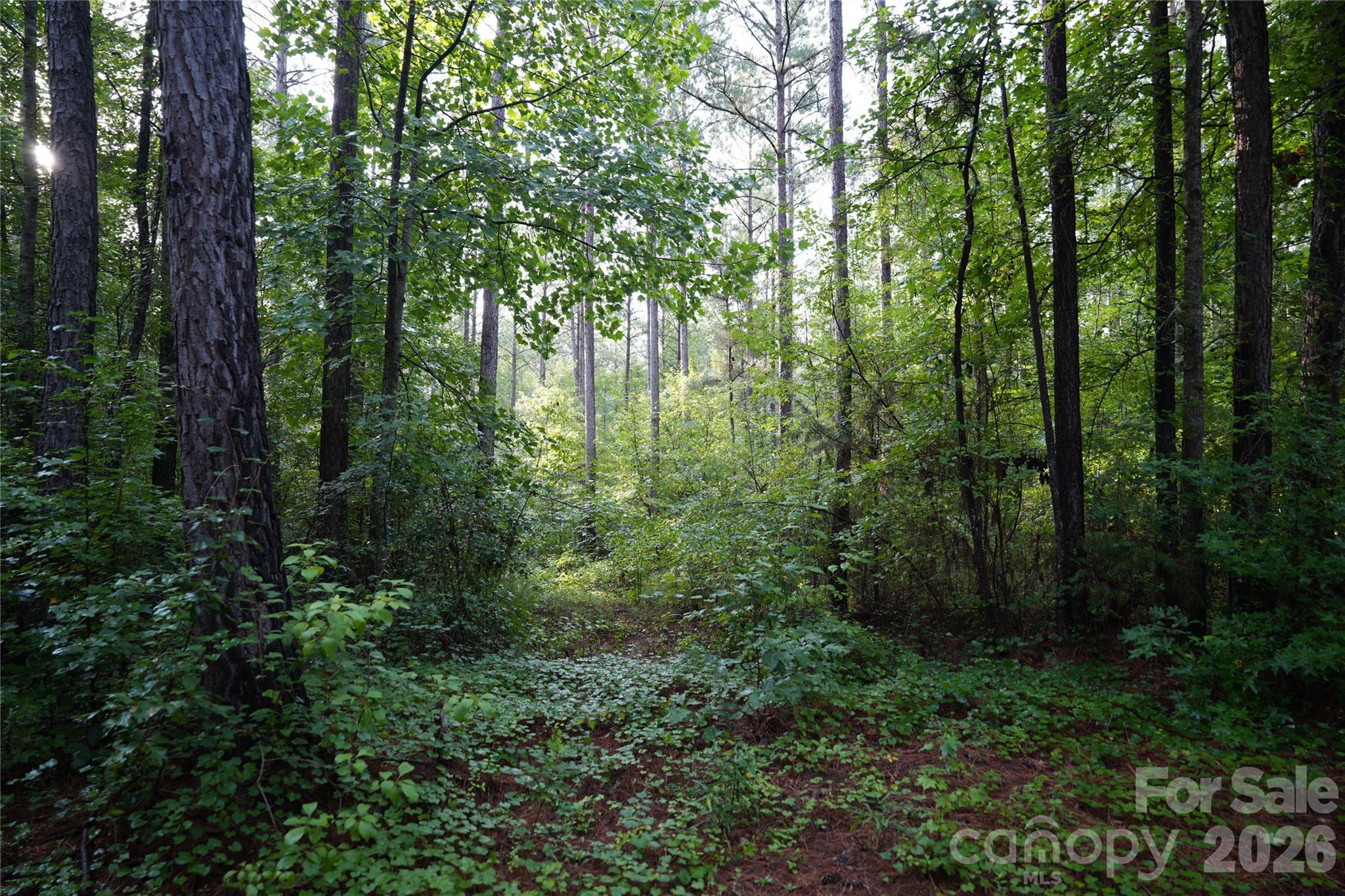 00 Bobby Faucette Road 7 Property Photo 9
