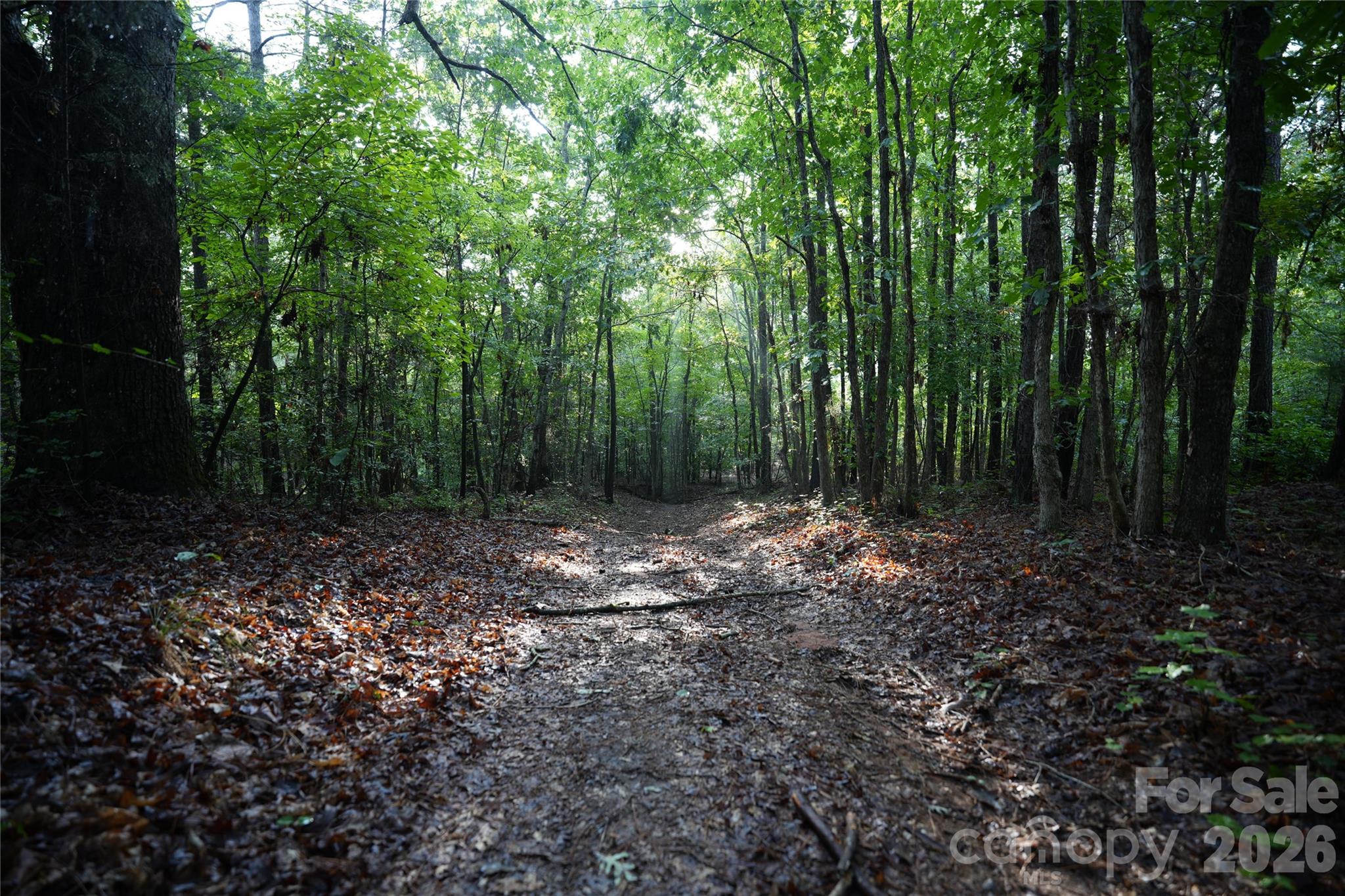 00 Bobby Faucette Road 7 Property Photo 10