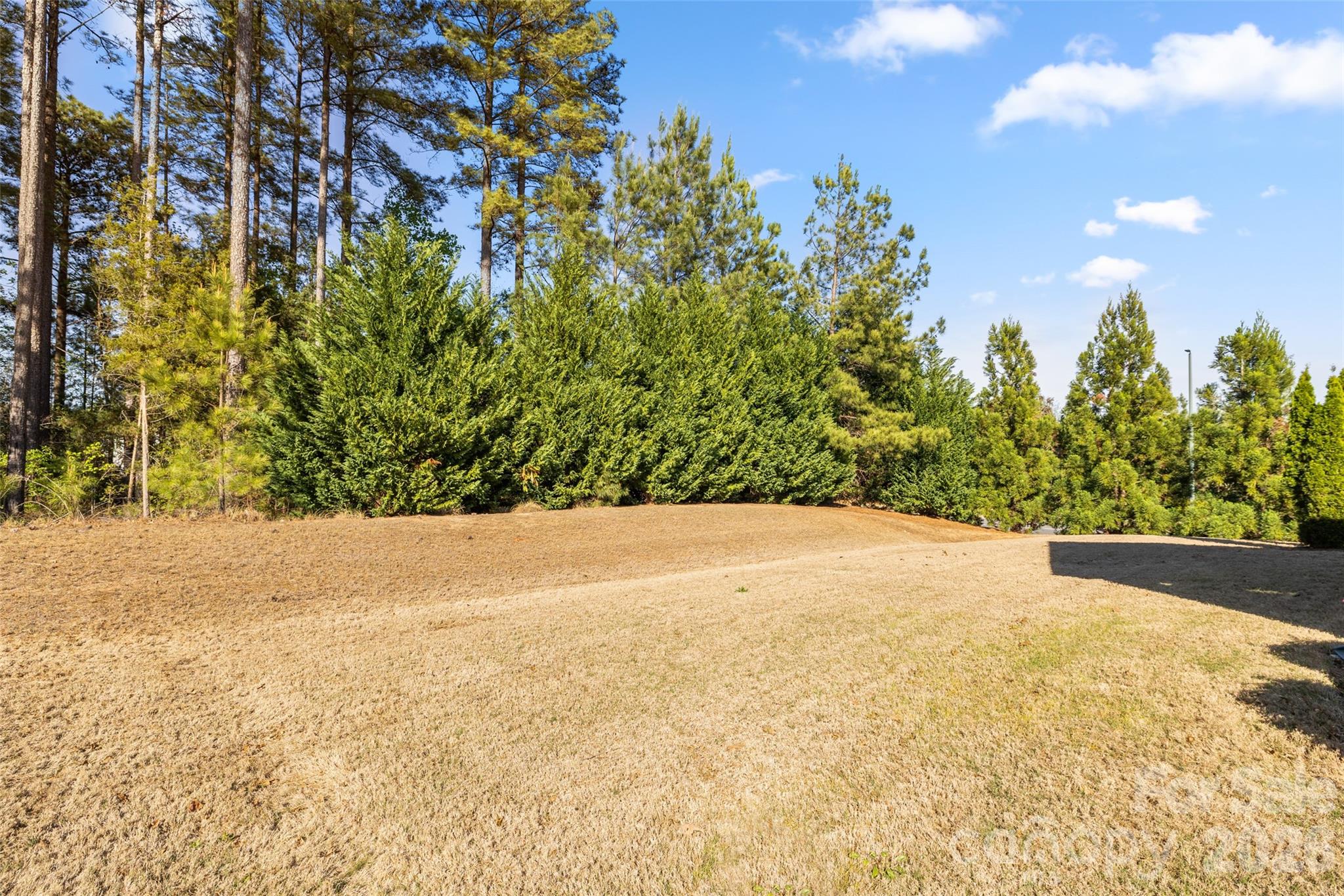 1002 Falling Leaf Street Property Photo 36