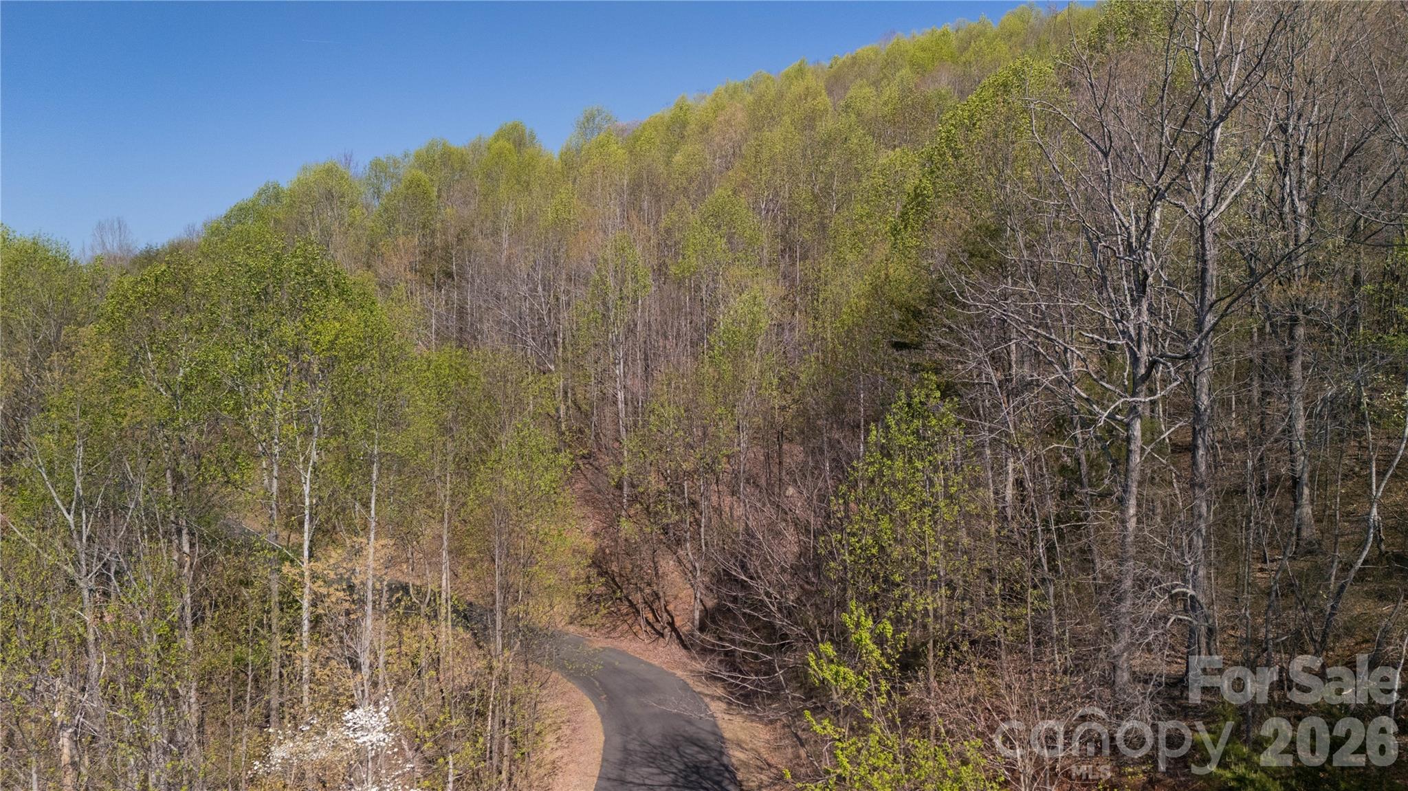 Tbd Owls Ridge Road Property Photo 4
