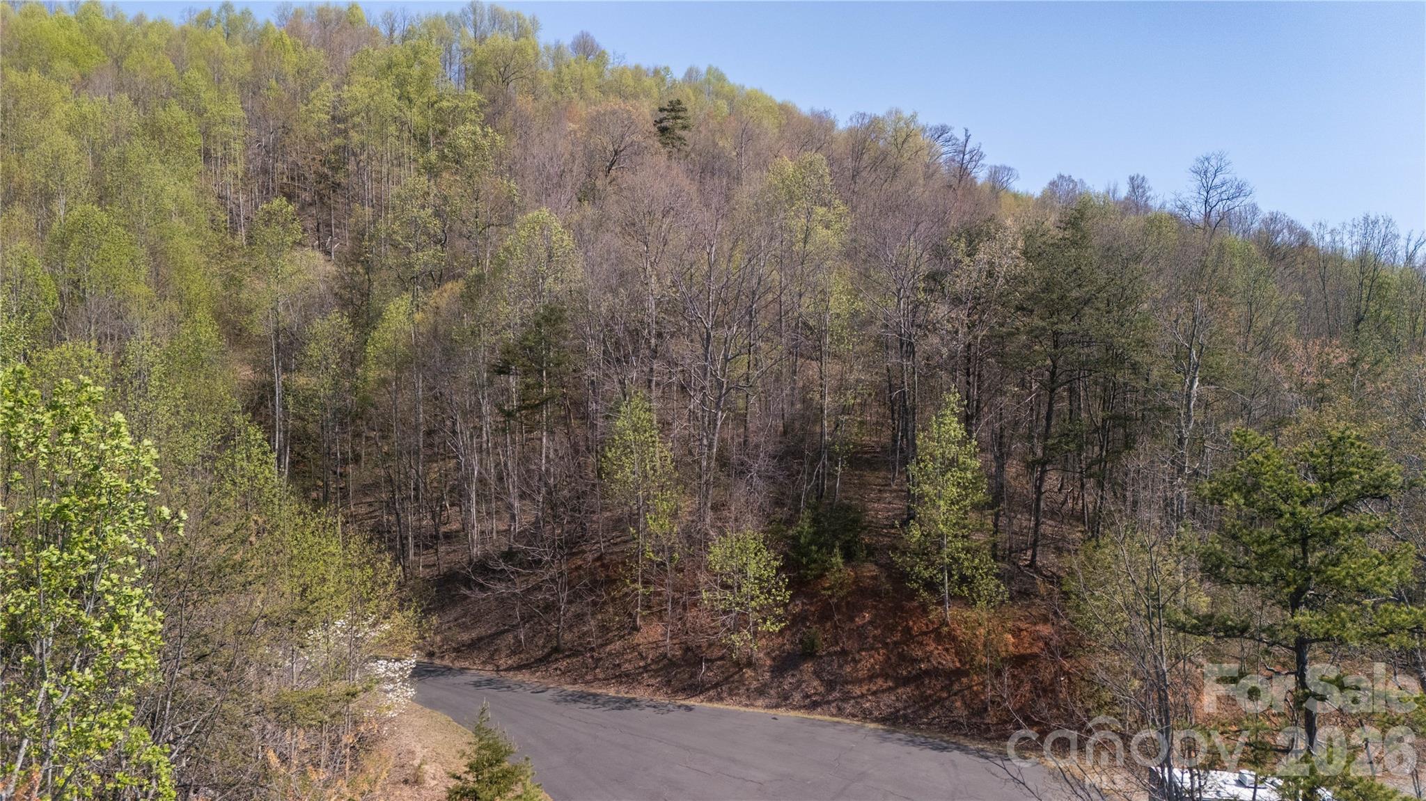 Tbd Owls Ridge Road Property Photo 8
