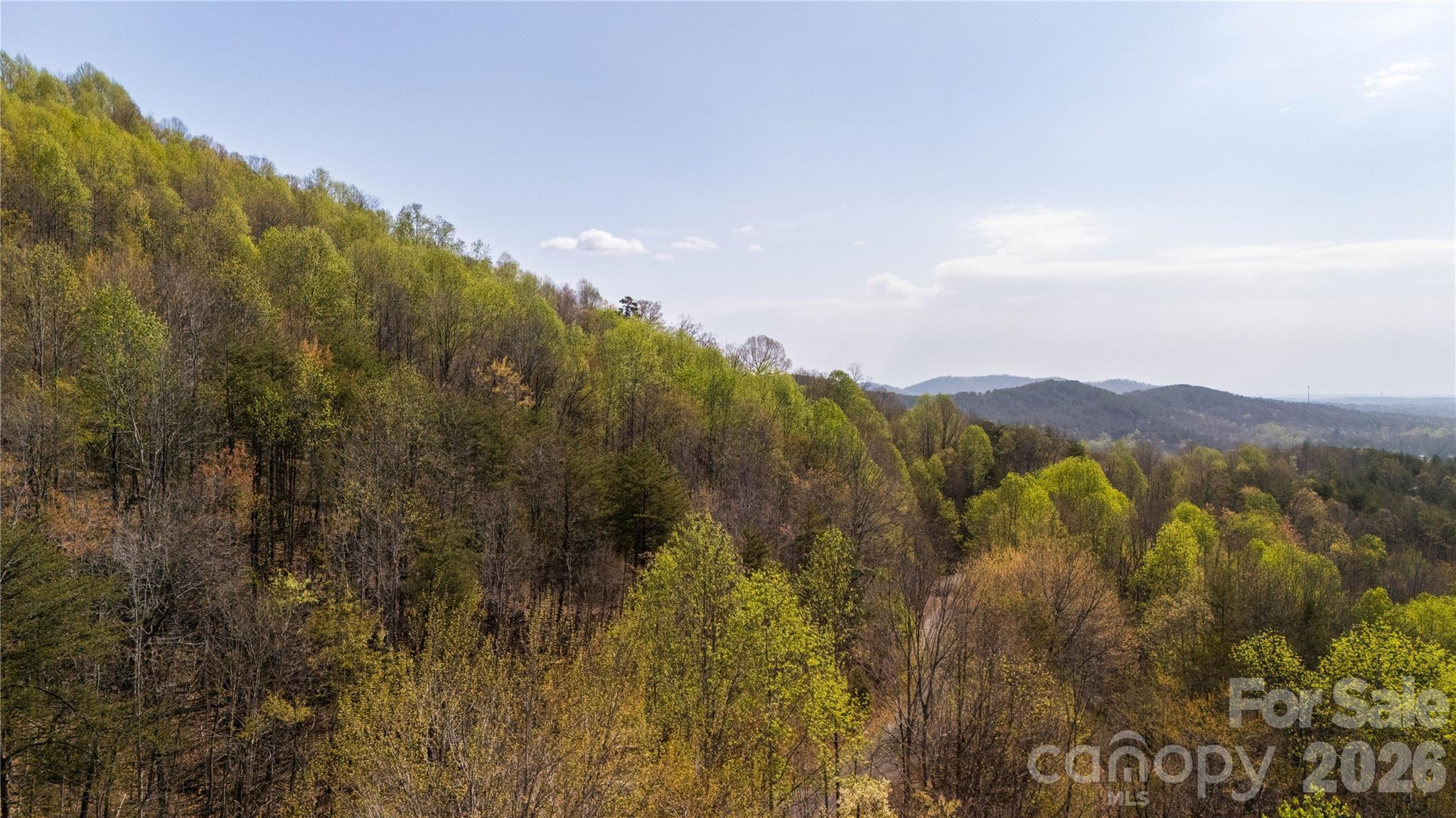 Tbd Owls Ridge Road Property Photo 10