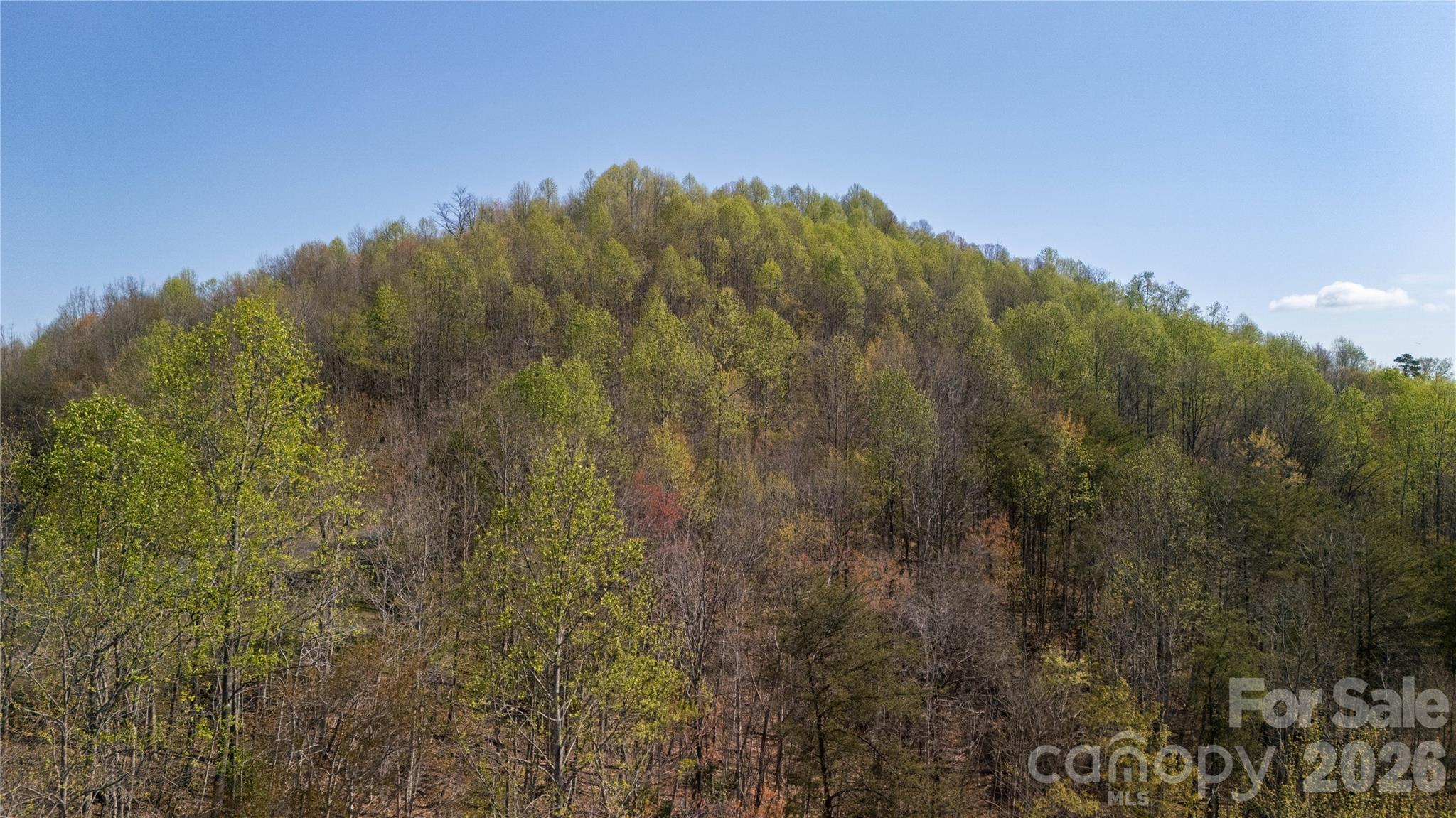 Tbd Owls Ridge Road Property Photo 11