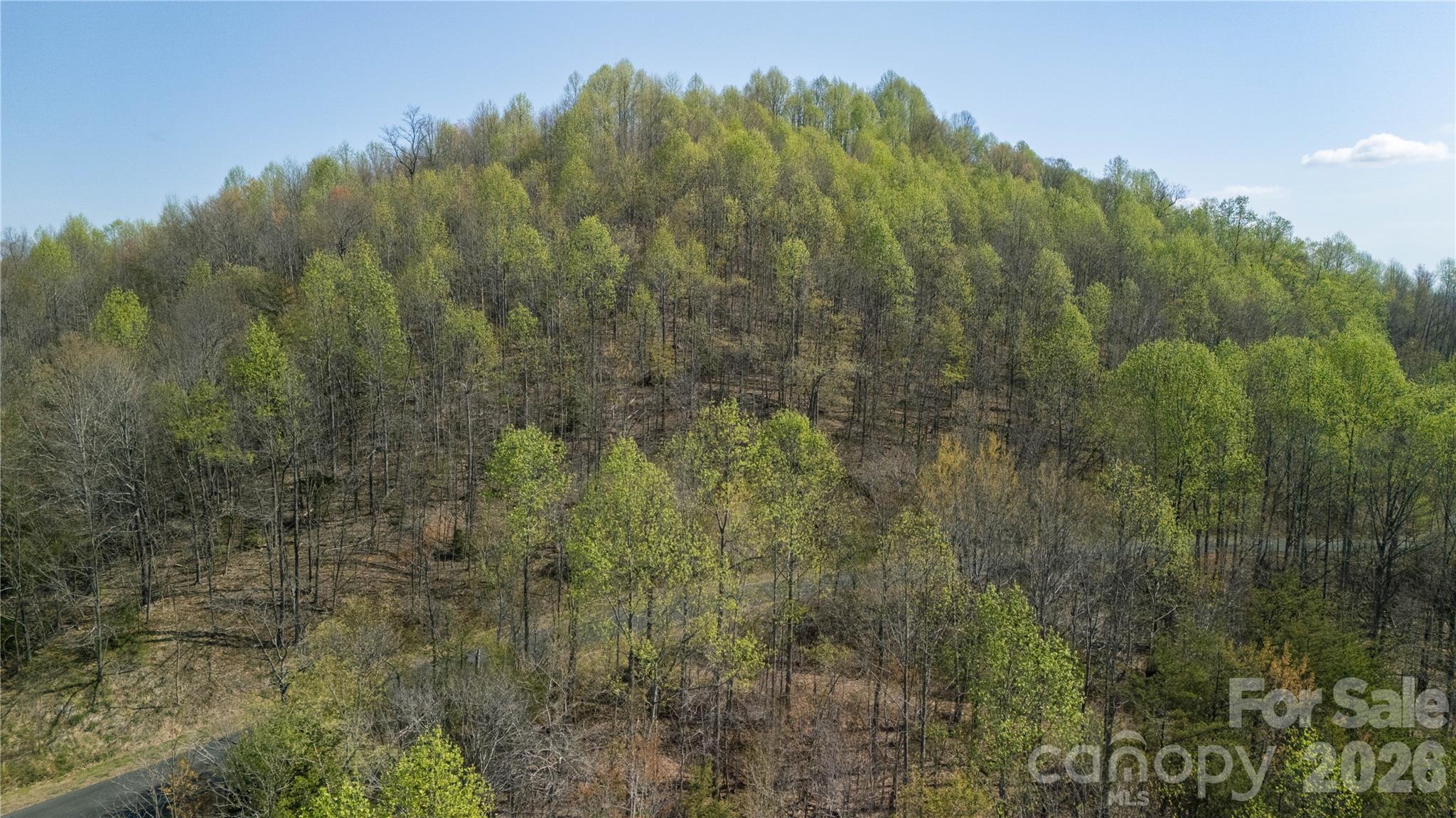 Tbd Owls Ridge Road Property Photo 12