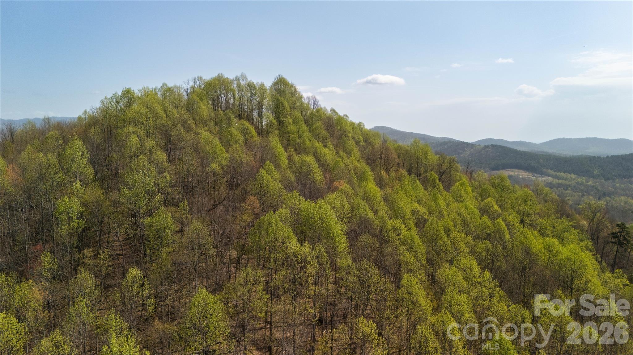 Tbd Owls Ridge Road Property Photo 13