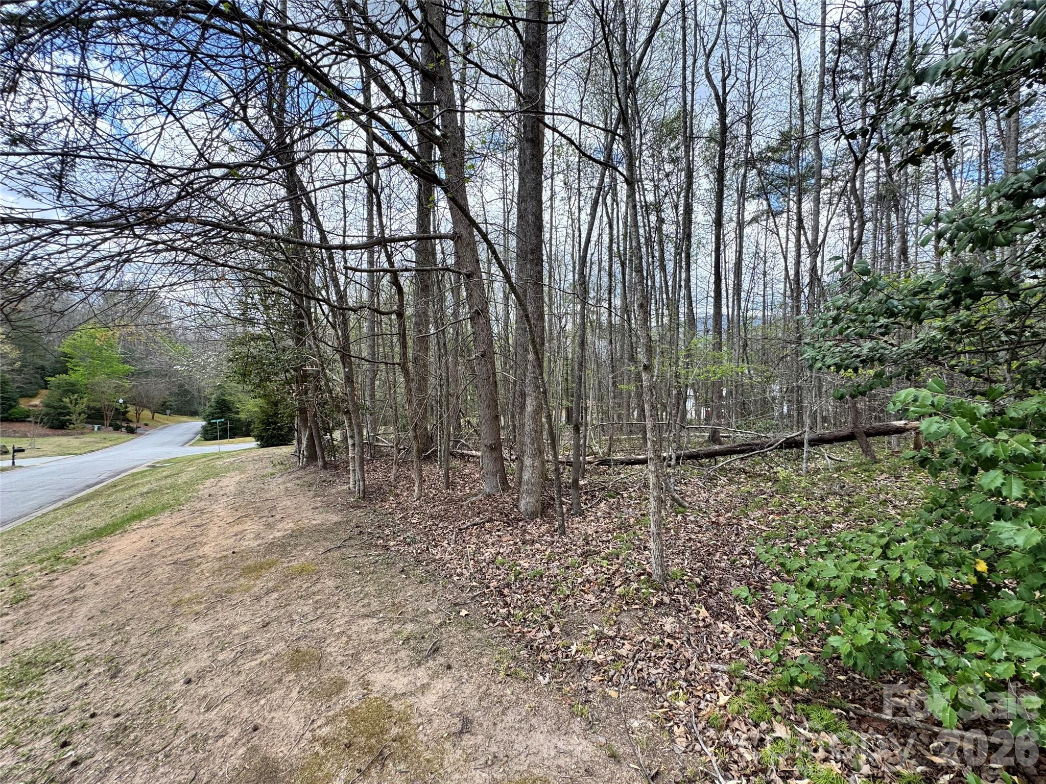 101 Autumn Leaves Way Property Photo 12