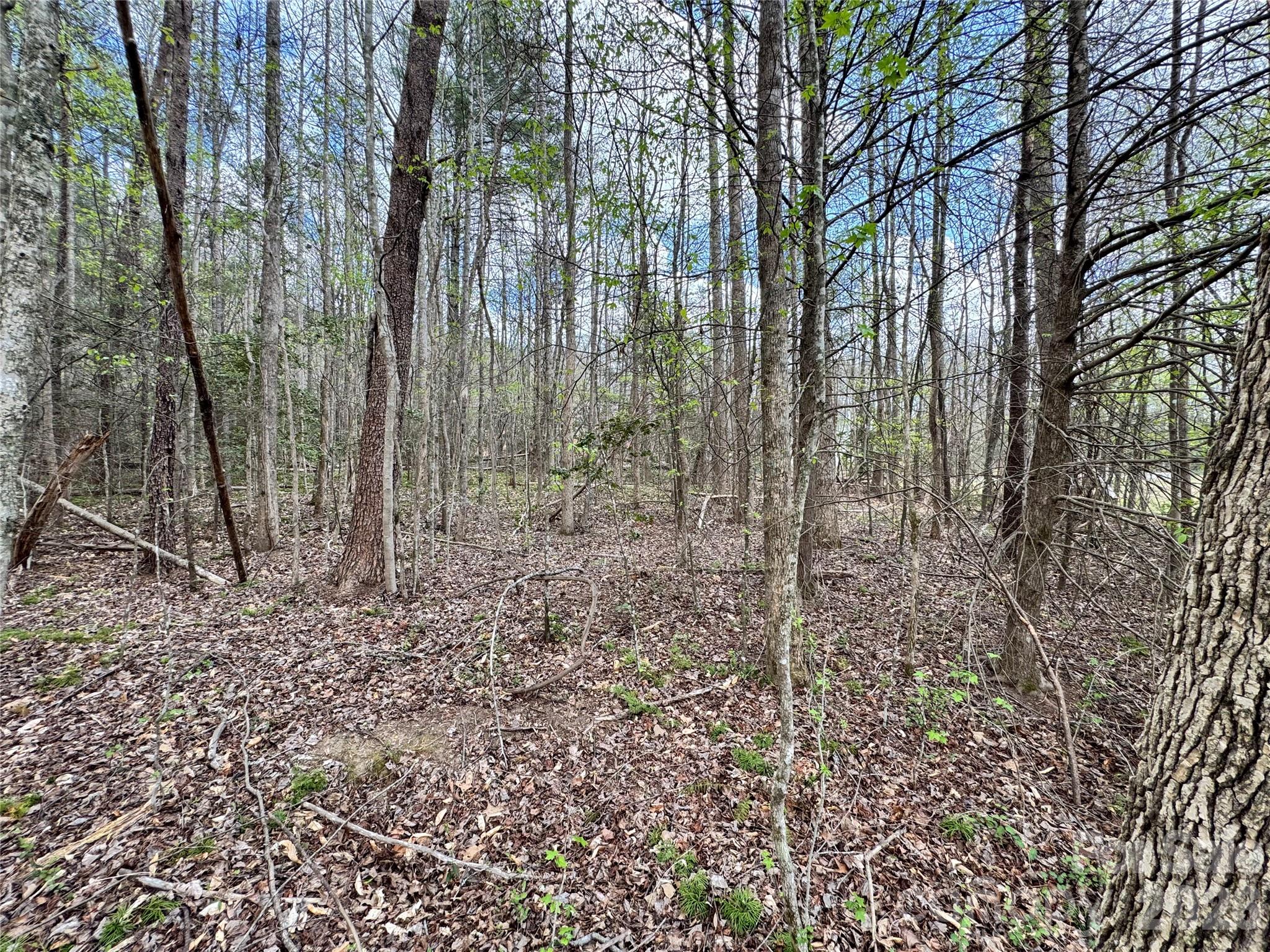 101 Autumn Leaves Way Property Photo 14