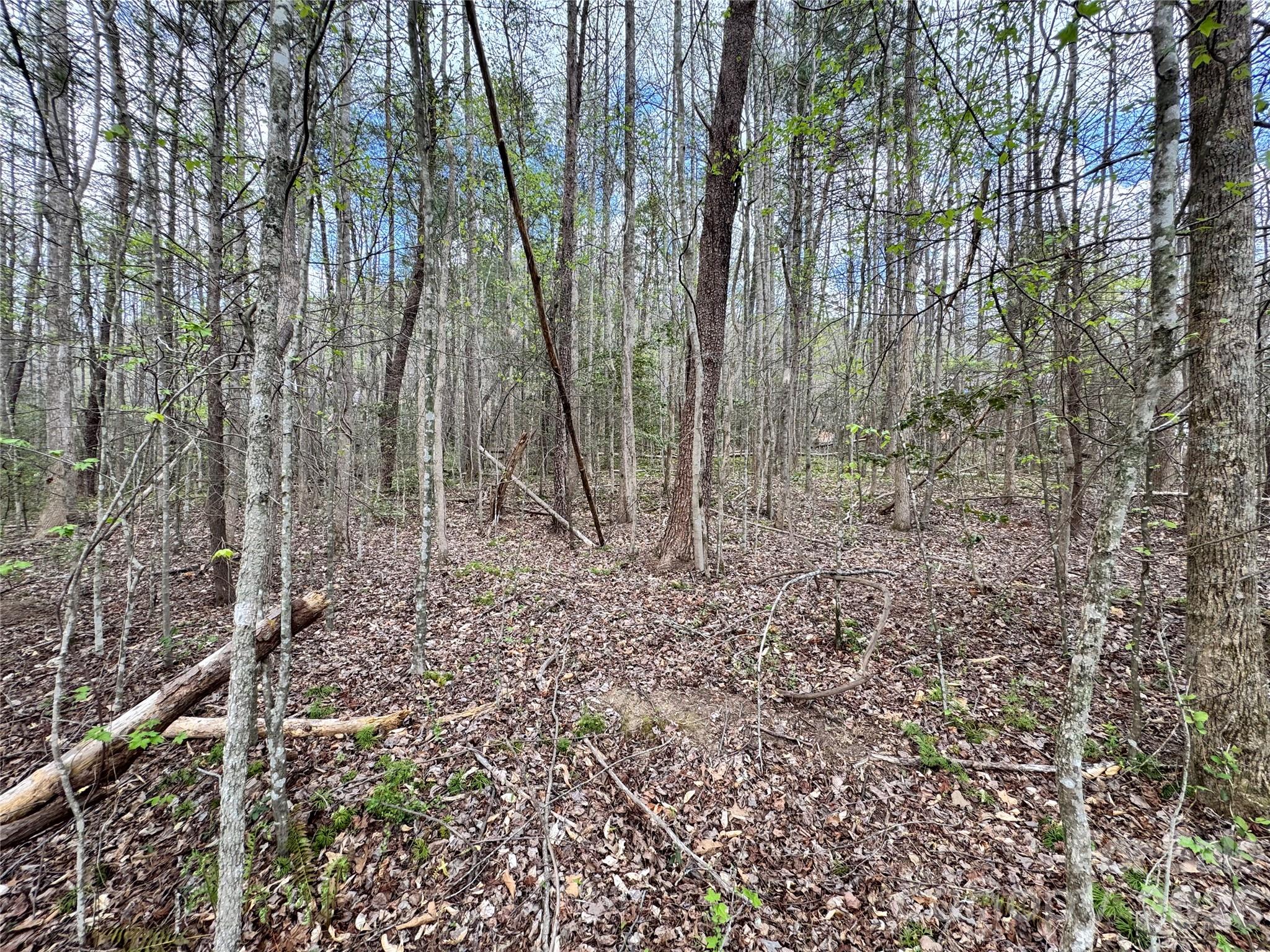 101 Autumn Leaves Way Property Photo 15