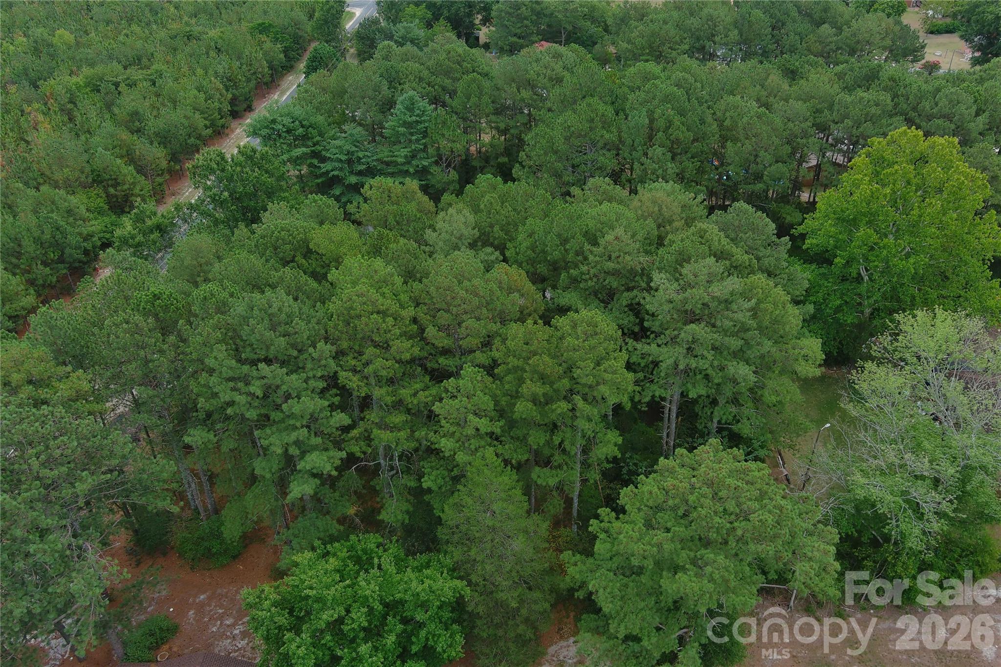 0 Mccaskill Drive Property Photo 2