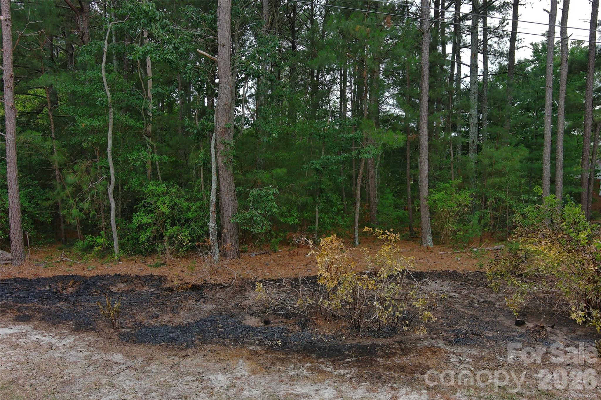 0 Mccaskill Drive Property Photo 4