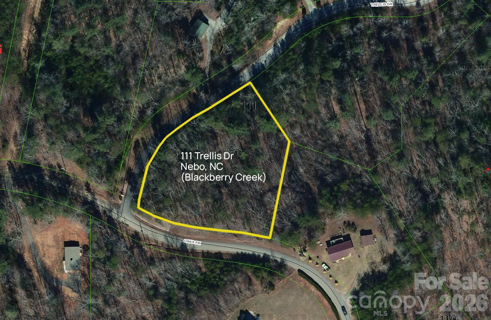 Lot 111 Trellis Drive Property Photo 2
