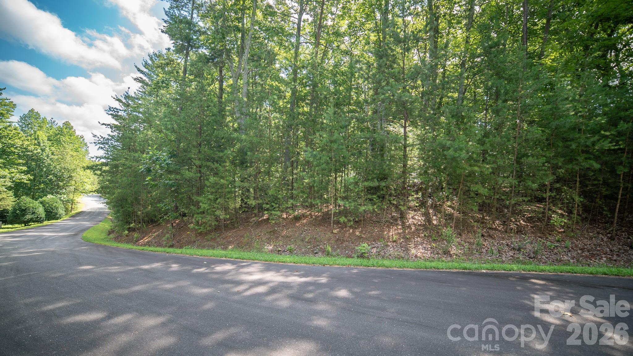Lot 111 Trellis Drive Property Photo 5