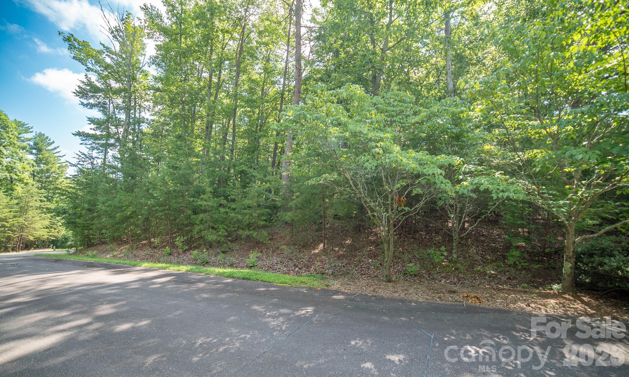 Lot 111 Trellis Drive Property Photo 6