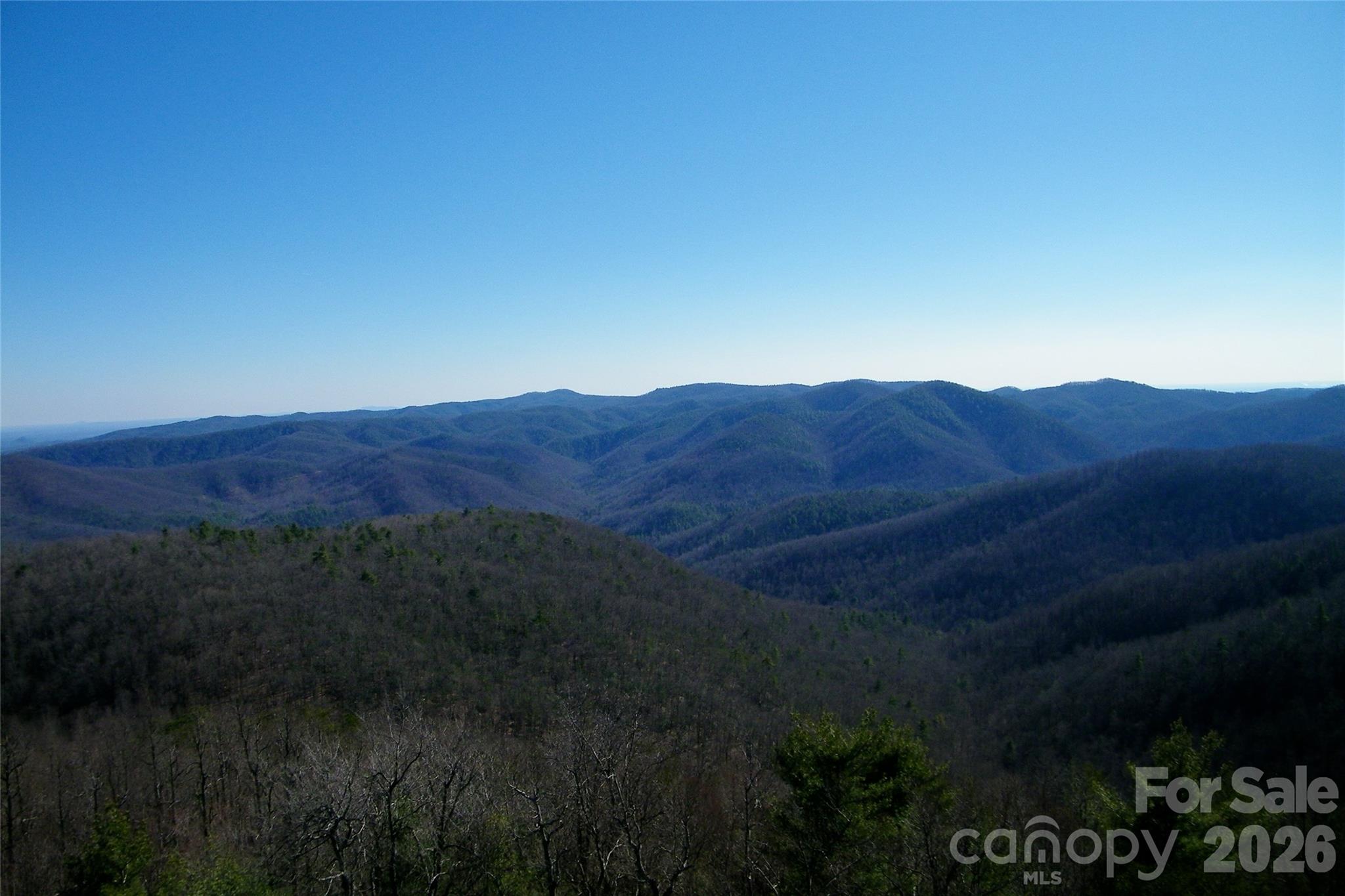 Lot 111 Trellis Drive Property Photo 12