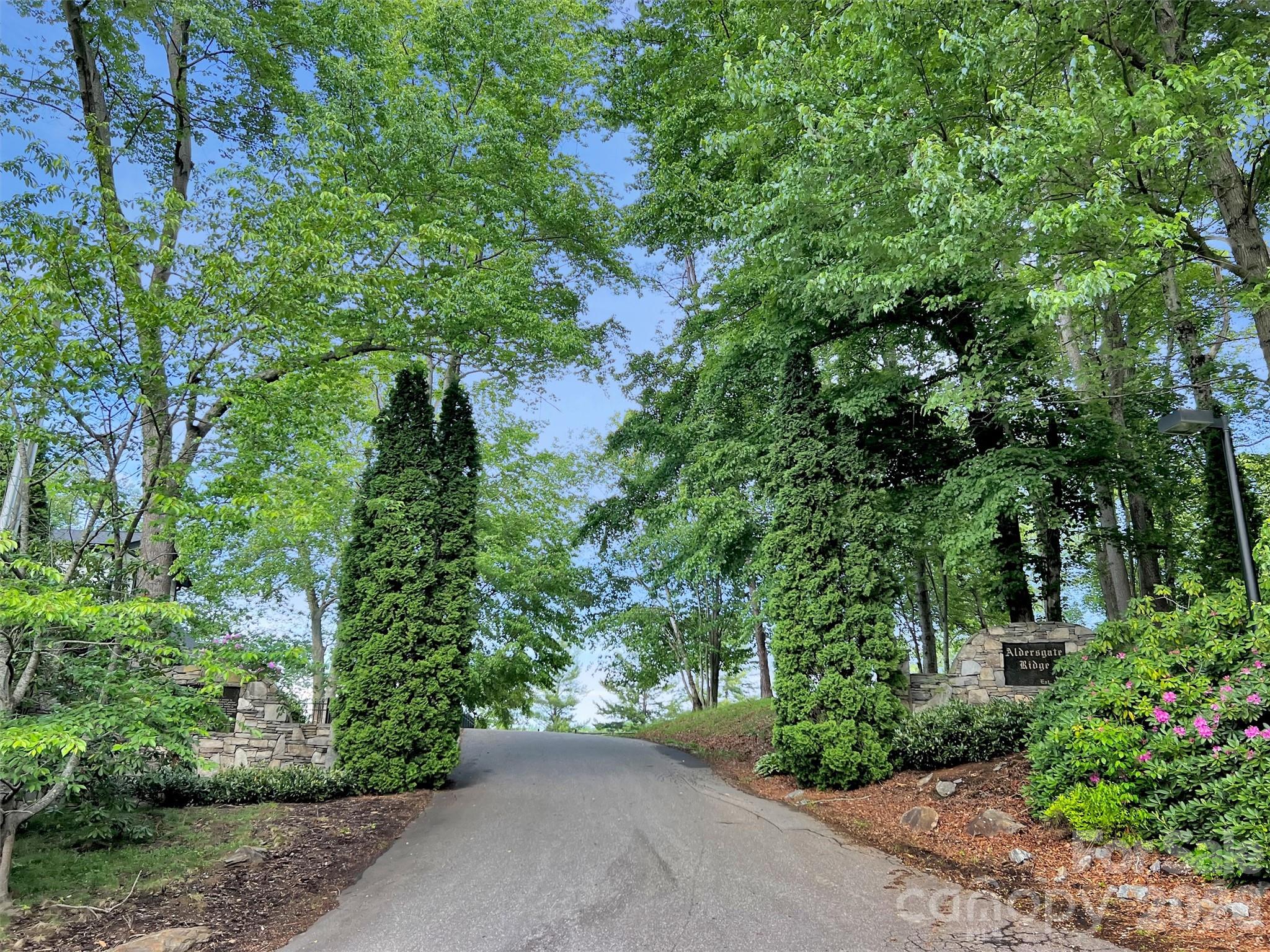 186 Aldersgate Road Property Photo 10