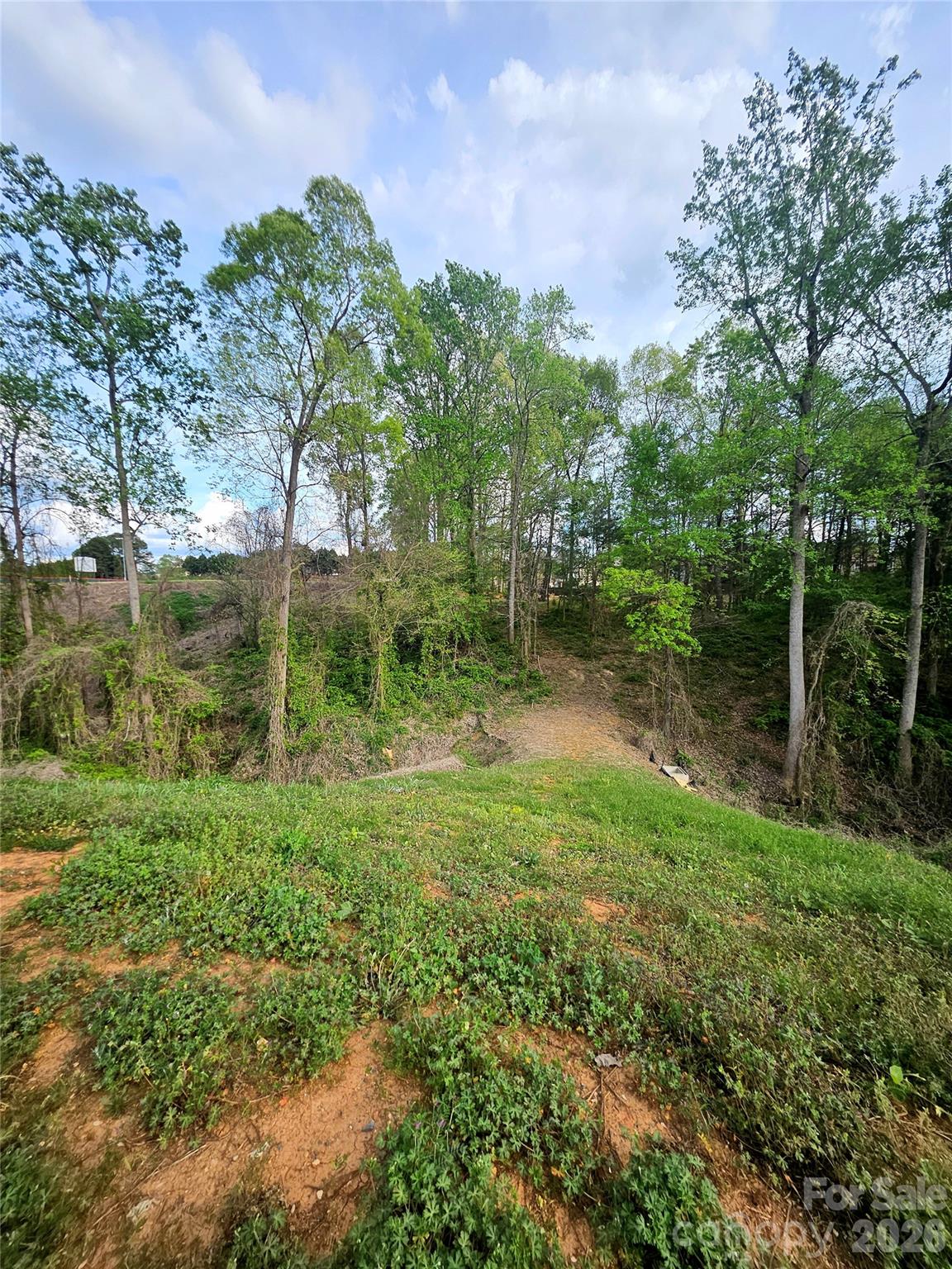 1110 Clark Hill Drive Property Photo 2